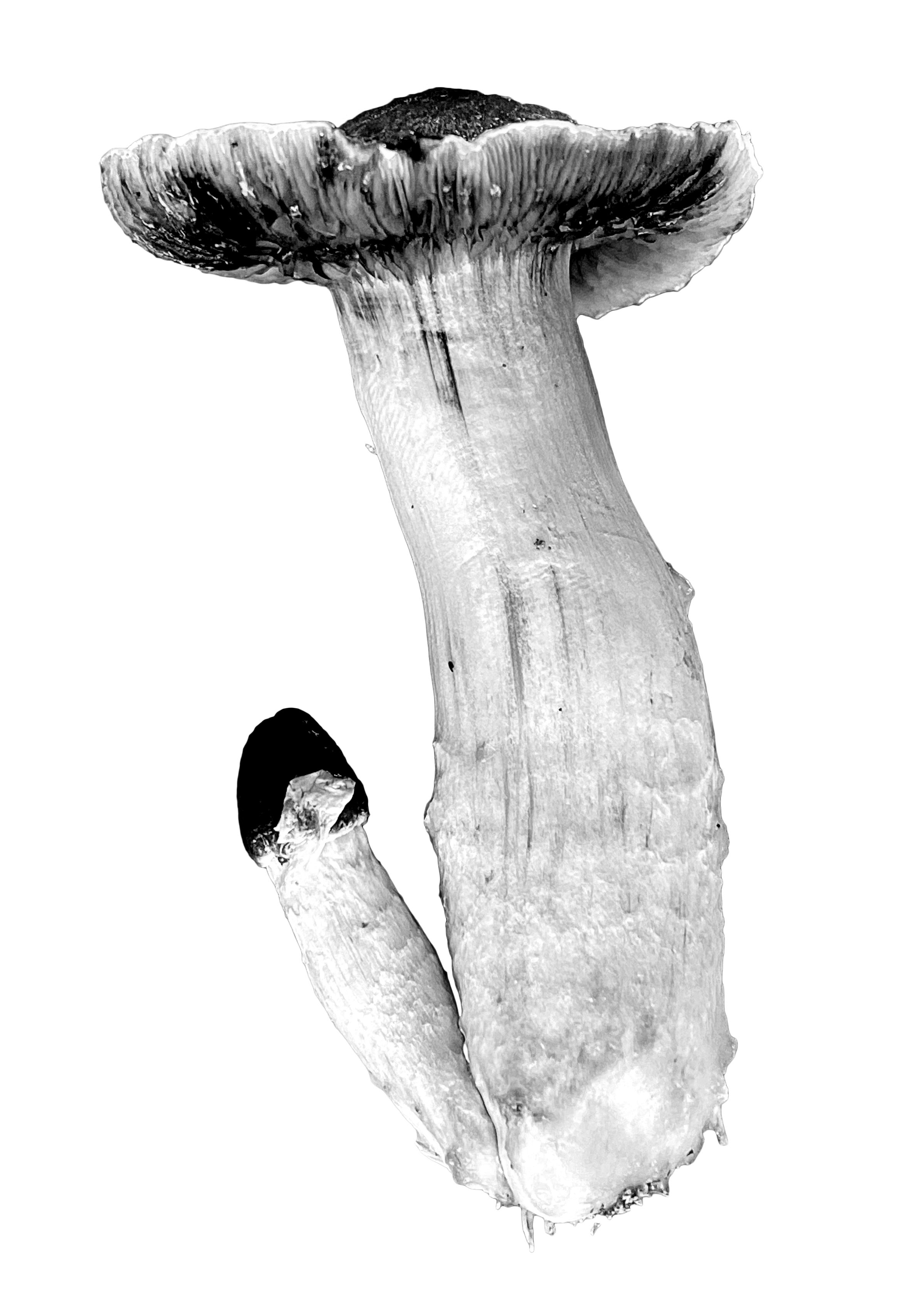 wmco-028 copy.jpg