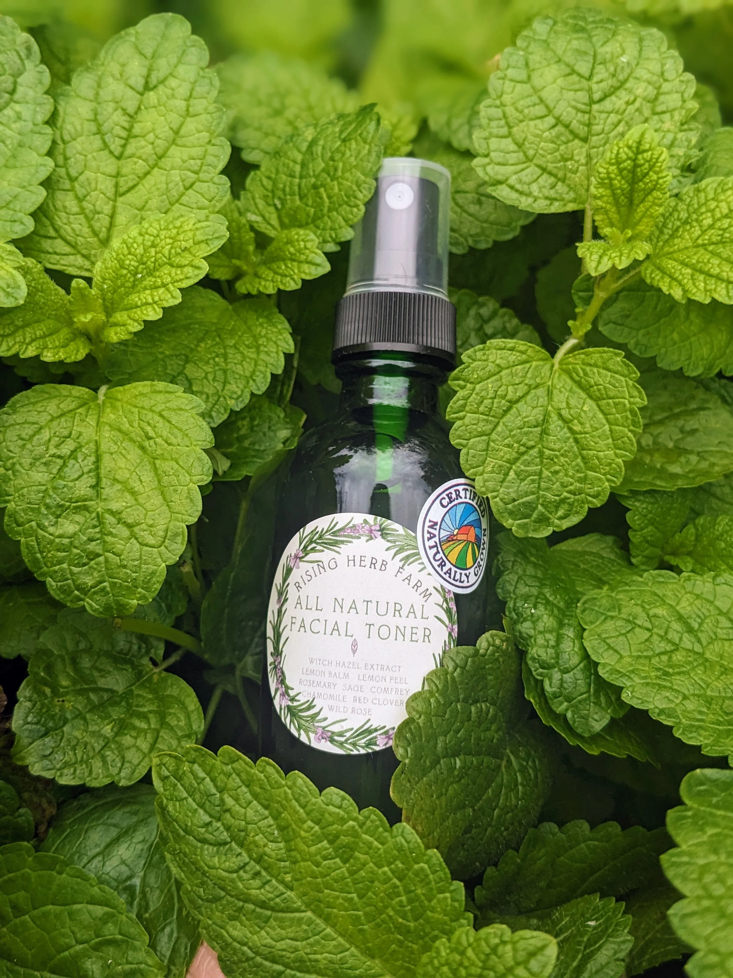 Herbal Facial Toner - Certified Naturally Grown