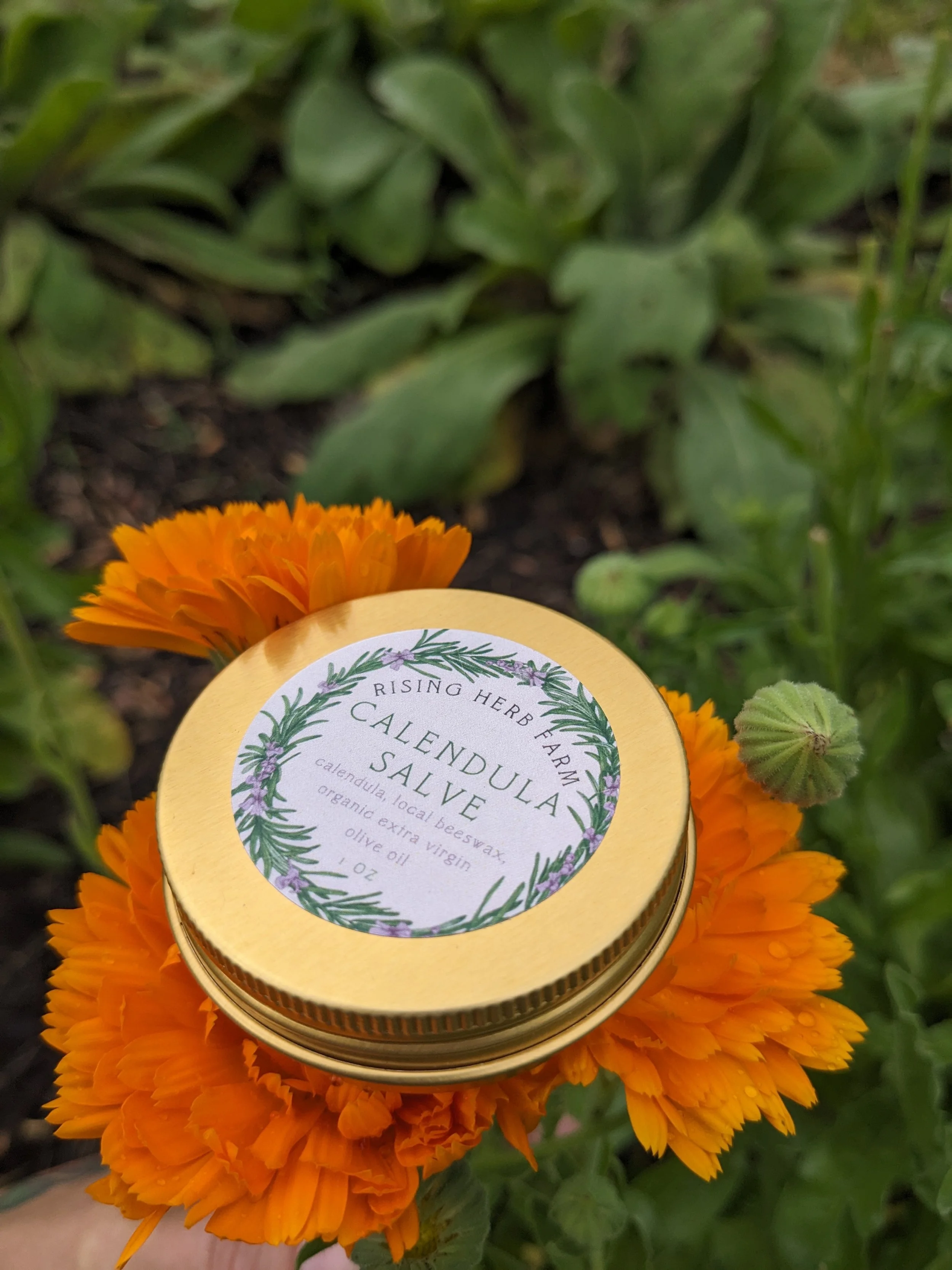 Herbal Salves