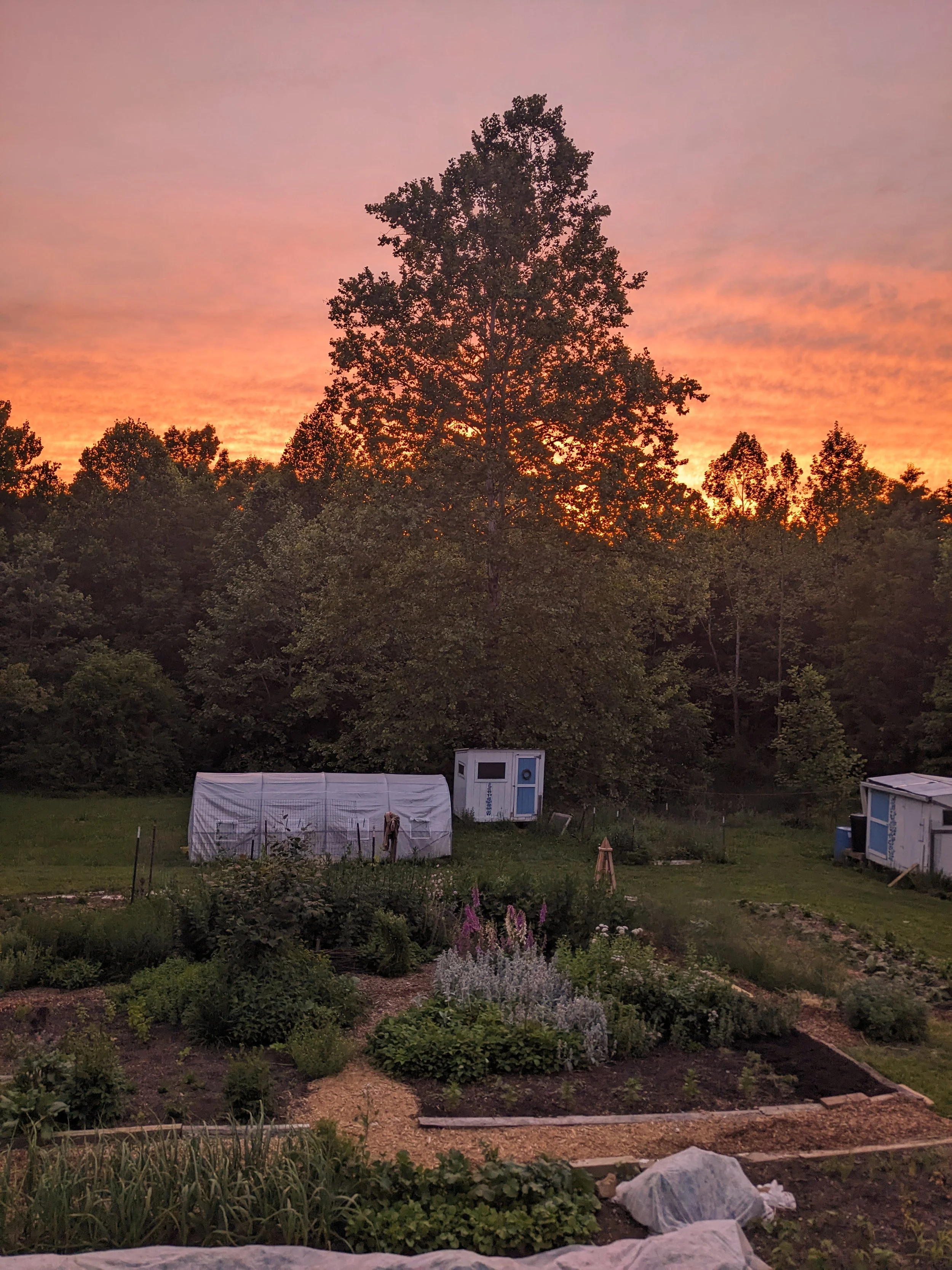 PXL_20260526_011420448(1).jpg