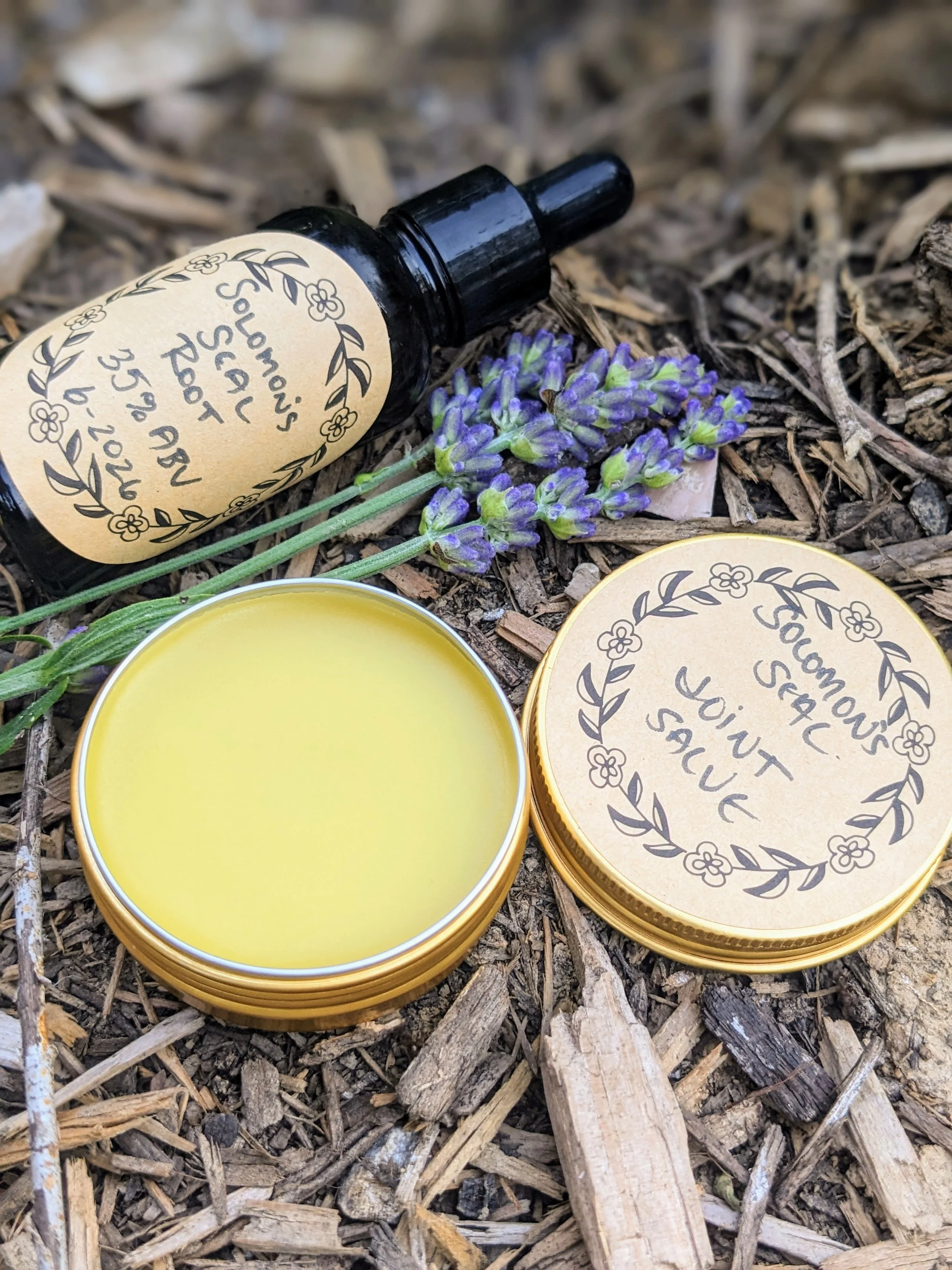 Solomon's Seal Root - Handcrafted Tincture & Salve