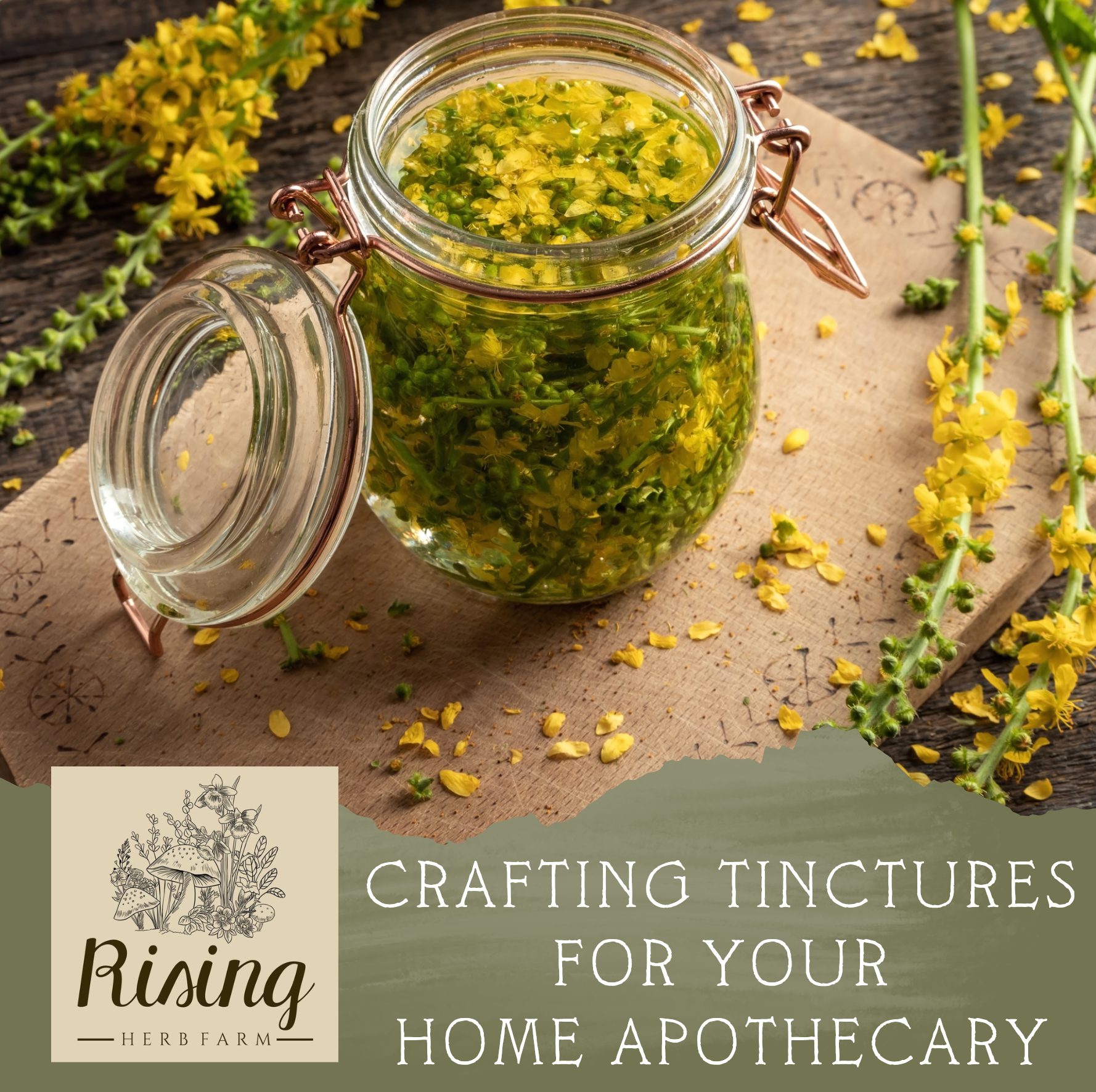 Herbal Medicine Quick Guide PDF: Crafting Tinctures for Your Home Apothecary