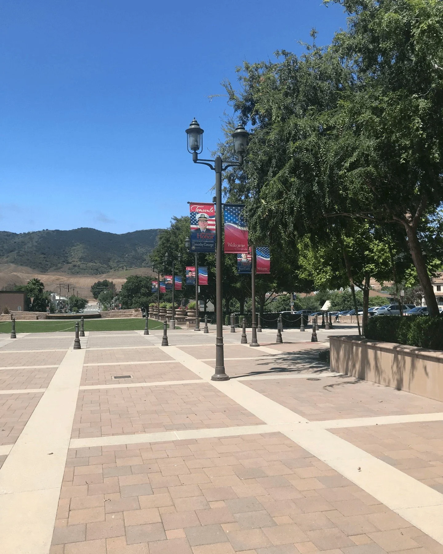 Wayfinding. Branding. Civic pride.
Pole banners do more than decorate, they give a place its personality.
From downtown corridors to special events, this is how spaces start to feel intentional. 🌆🎨 

#PoleBanners #StreetscapeDesign #OutdoorAdvertis