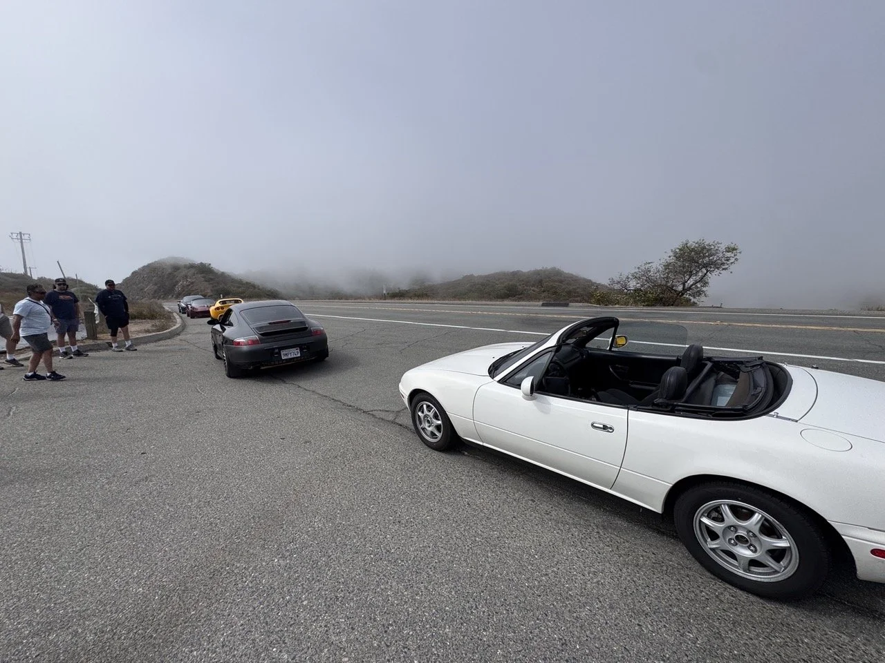 IMG_0667 Large.jpeg