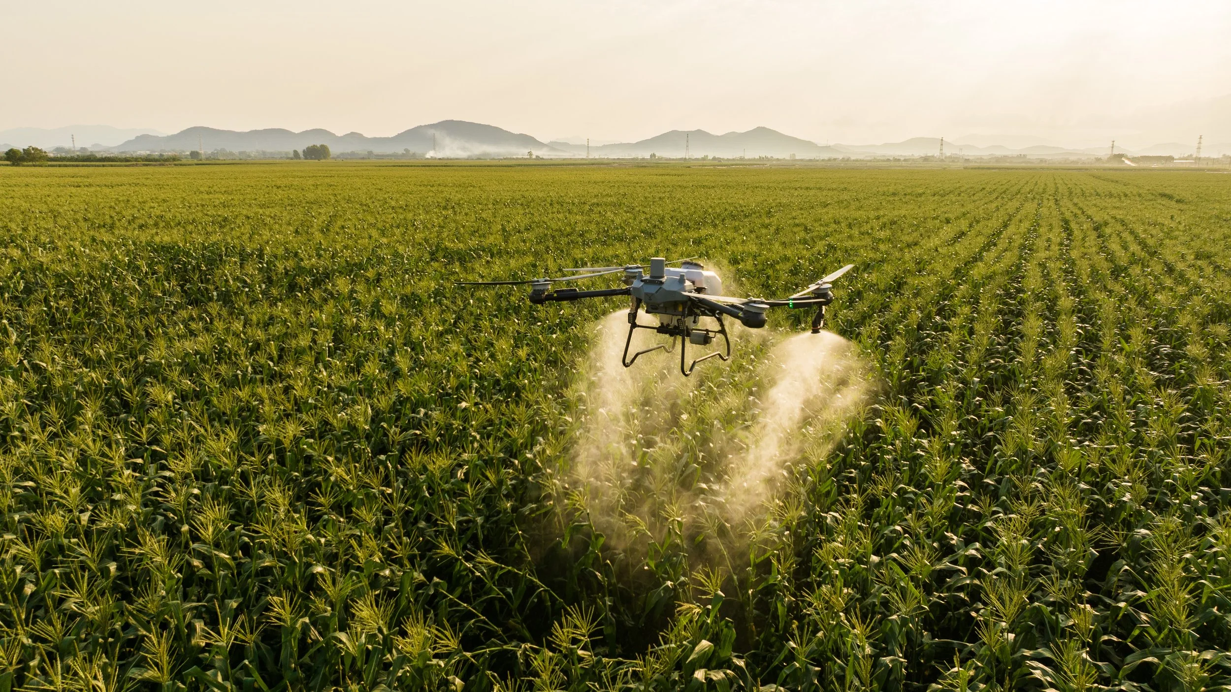 Talos T60X Corn Field.jpg