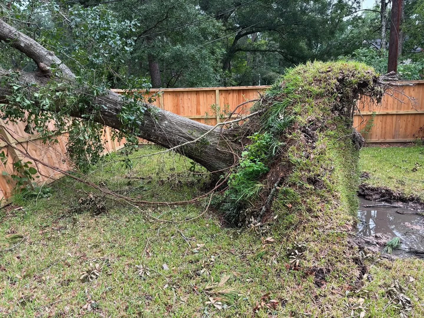 Building strong fences that stand strong through every storm. 🌪💪 At Fences by Craig, our craftsmanship speaks for itself &mdash; proven to last when it matters most. Protect your home with quality you can trust