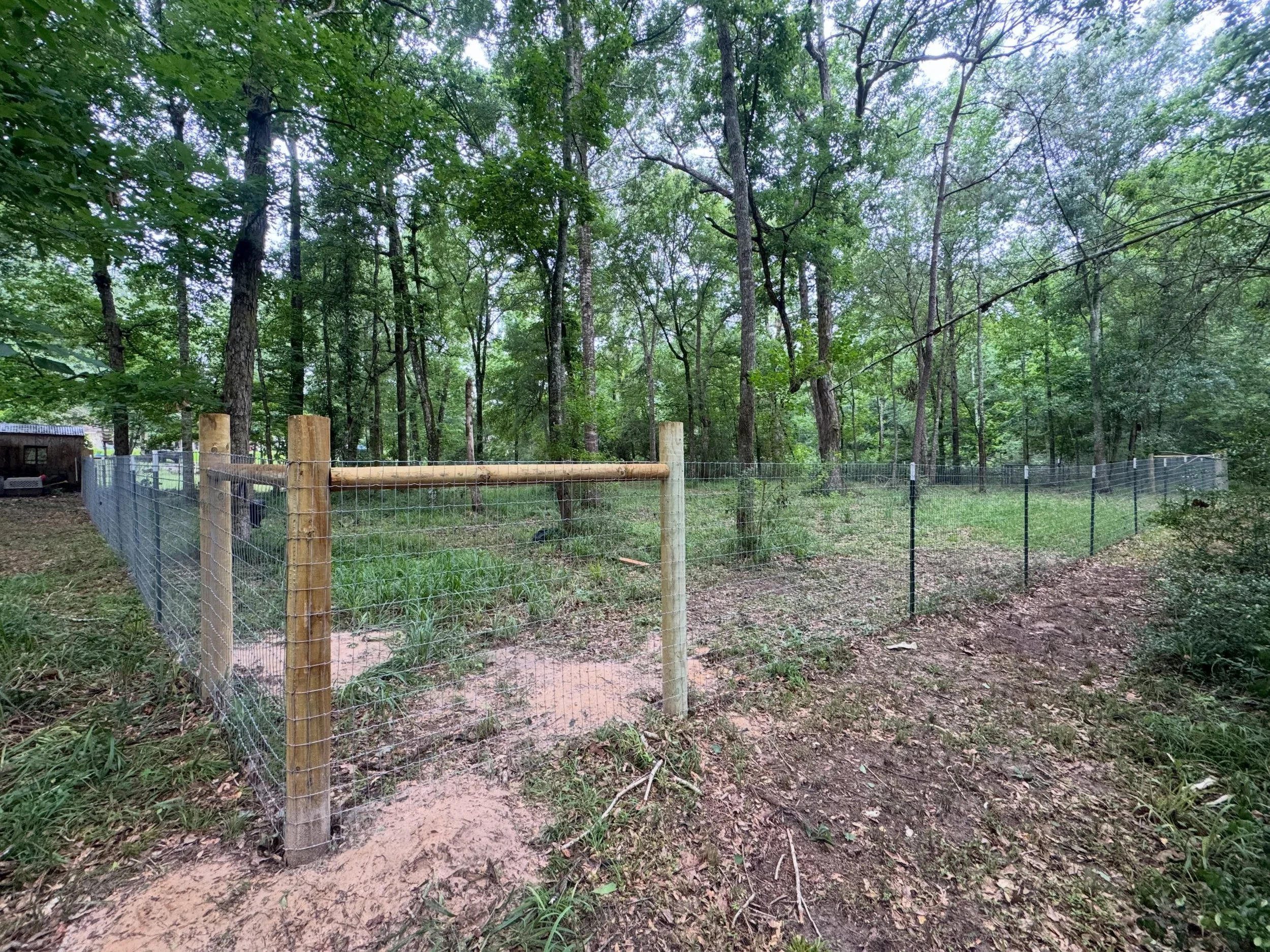 T-post &amp; wire goat enclosures built strong, simple, and secure. Tight wire, solid posts, and clean runs to keep your goats safe where they belong&mdash;no gaps, no shortcuts.

Perfect for small farms, homesteads, or backyard setups. Built to hand
