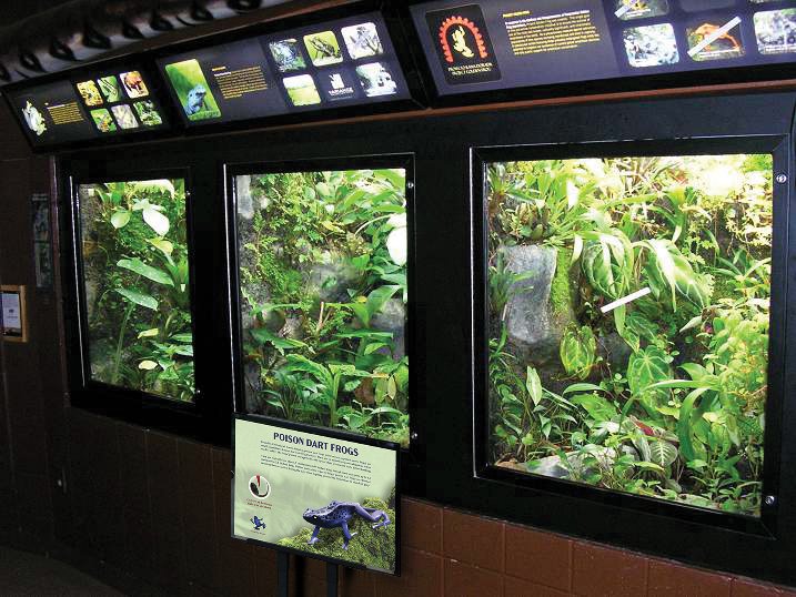 Frog Sign Mockup 2.jpg