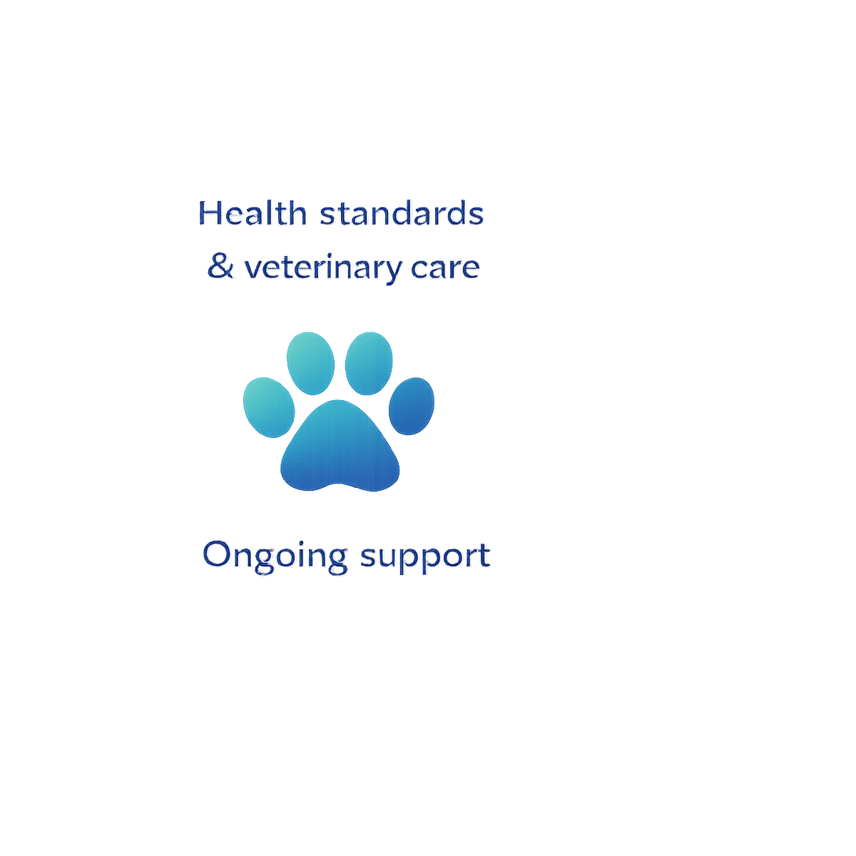 Ongoing breeder support for Ragdoll kitten families at Shades of Sapphire Ragdolls Ohio