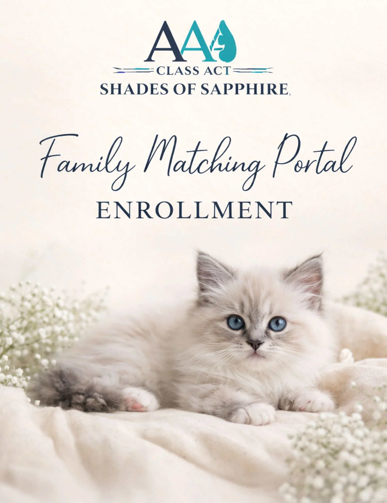 Family Matching Portal Enrollment
