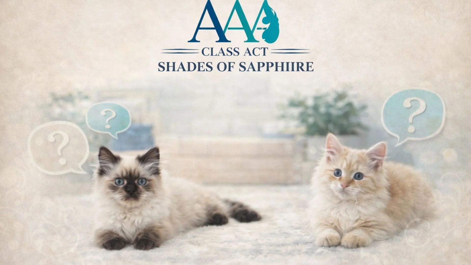 Two ragdoll kittens resting side by side, representing the Questions and Answers page for Shades of Sapphire Ragdolls and their ethical breeding program.