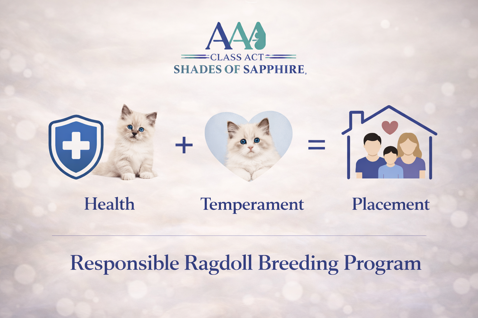 Infographic showing the AAA Class Act – Shades of Sapphire Ragdolls approach to responsible breeding, emphasizing health, temperament, and thoughtful placement.
