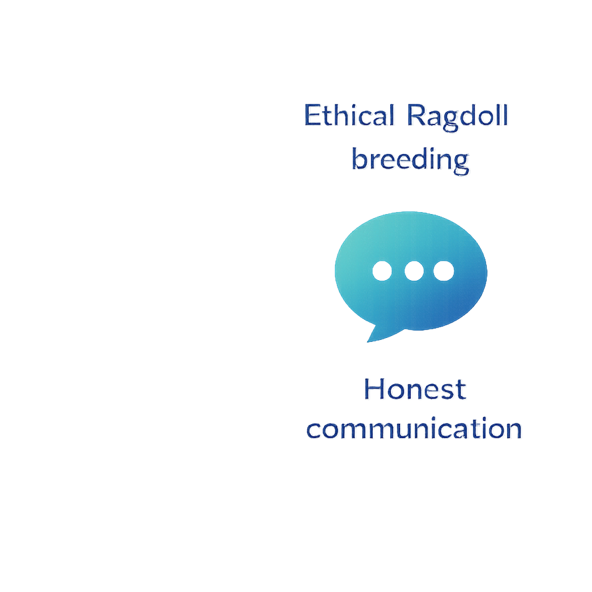 Transparent and honest communication with Ragdoll kitten families at AAA CLASS ACT Ohio