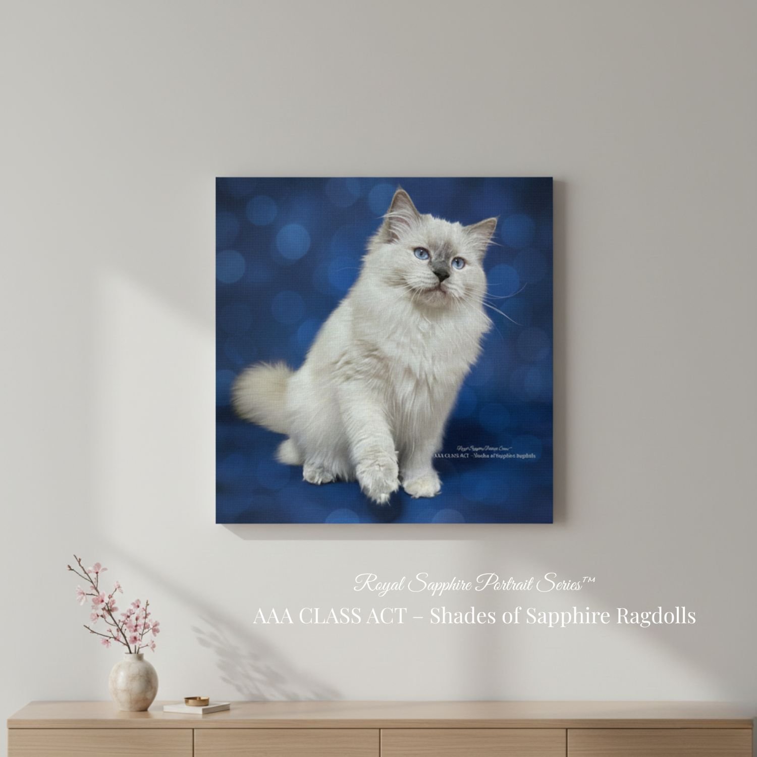 Royal Sapphire Portrait Series canvas artwork featuring a Ragdoll kitten from AAA Class Act – Shades of Sapphire Ragdolls