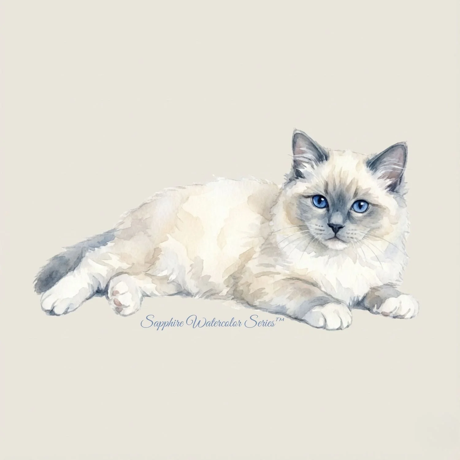 Blue-eyed Ragdoll kitten illustration style, representing gentle temperament and personality development at AAA Class Act – Shades of Sapphire Ragdolls in Ohio.