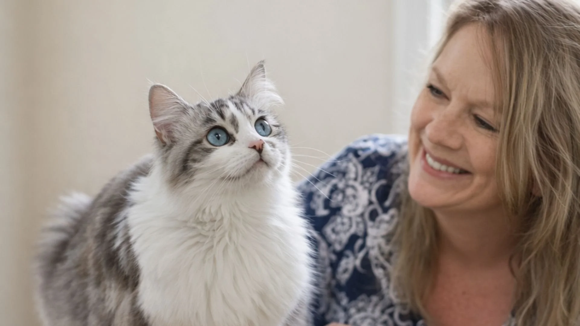 Tamara Shade with Caraline, the founding Ragdoll cat behind AAA Class Act – Shades of Sapphire Ragdolls, sharing a quiet moment that reflects the heart of the breeding program.