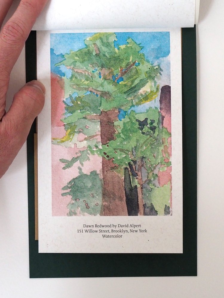 david+watercolor.jpg