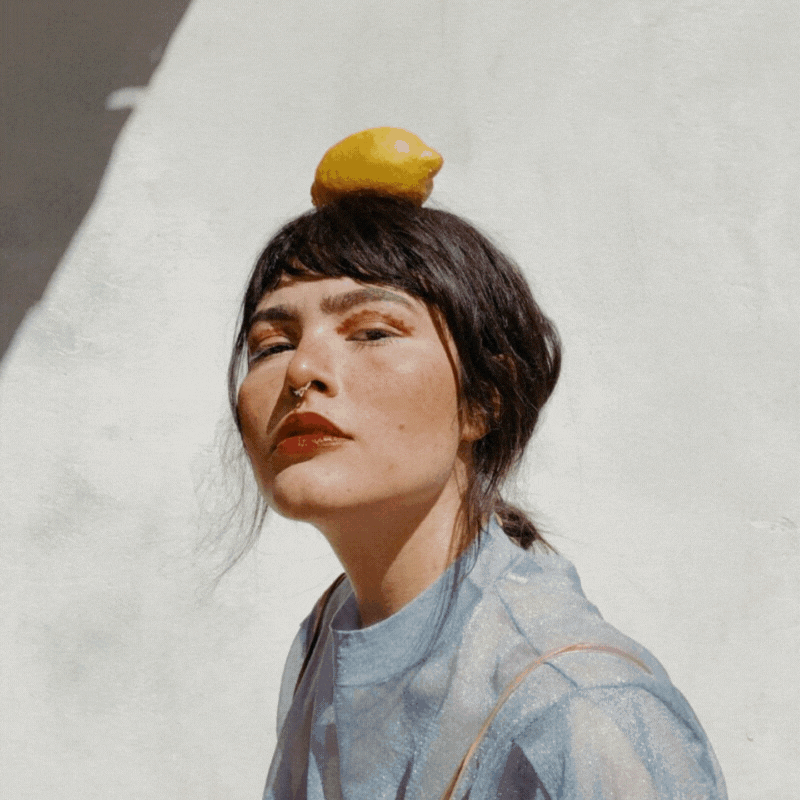 Portfolio.gif