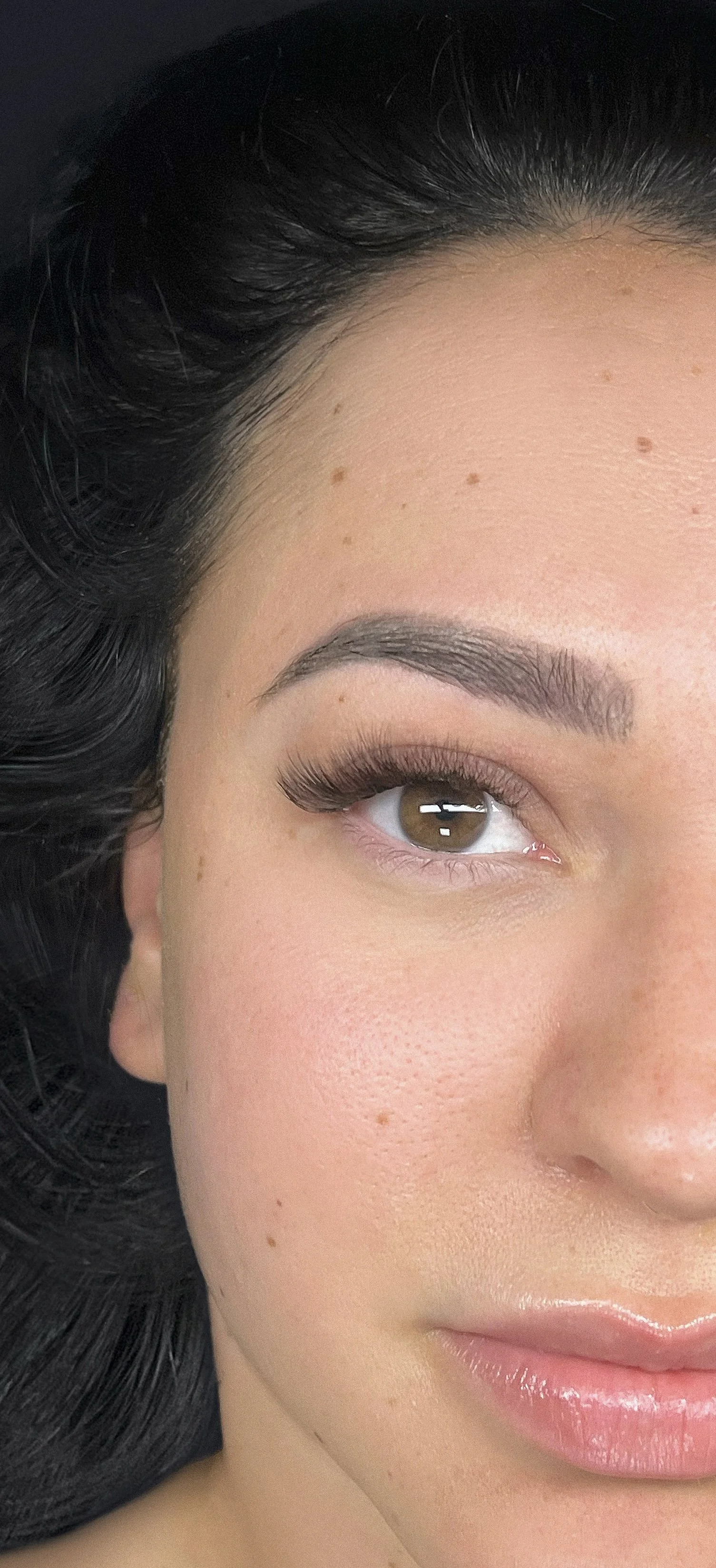 Brown Light Volume Full Set