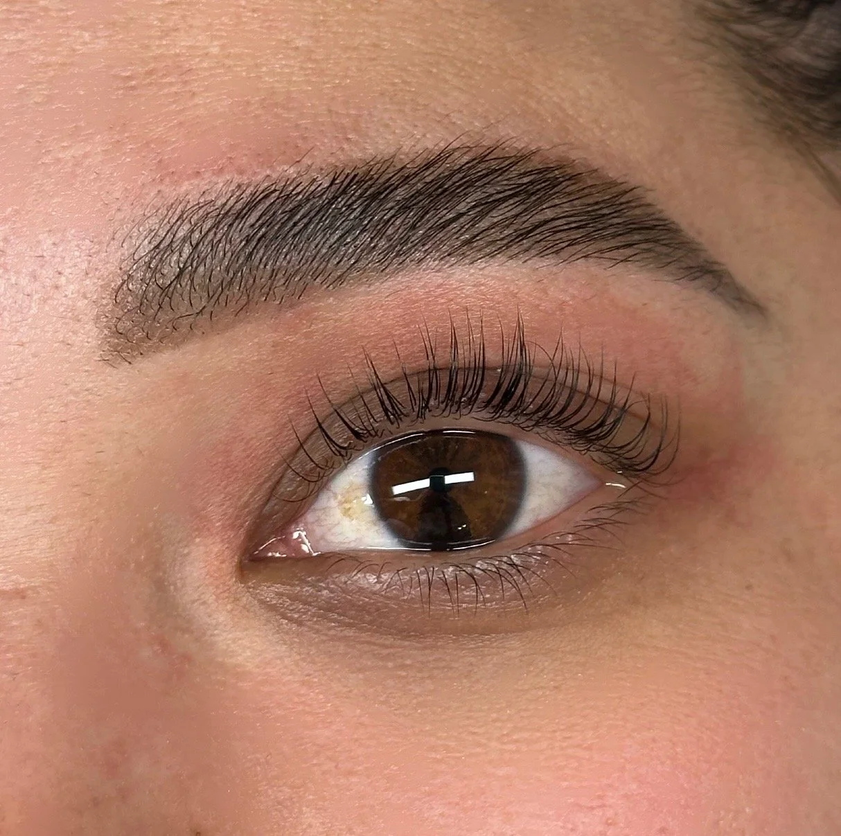 Brow Lamination & Lash Lift