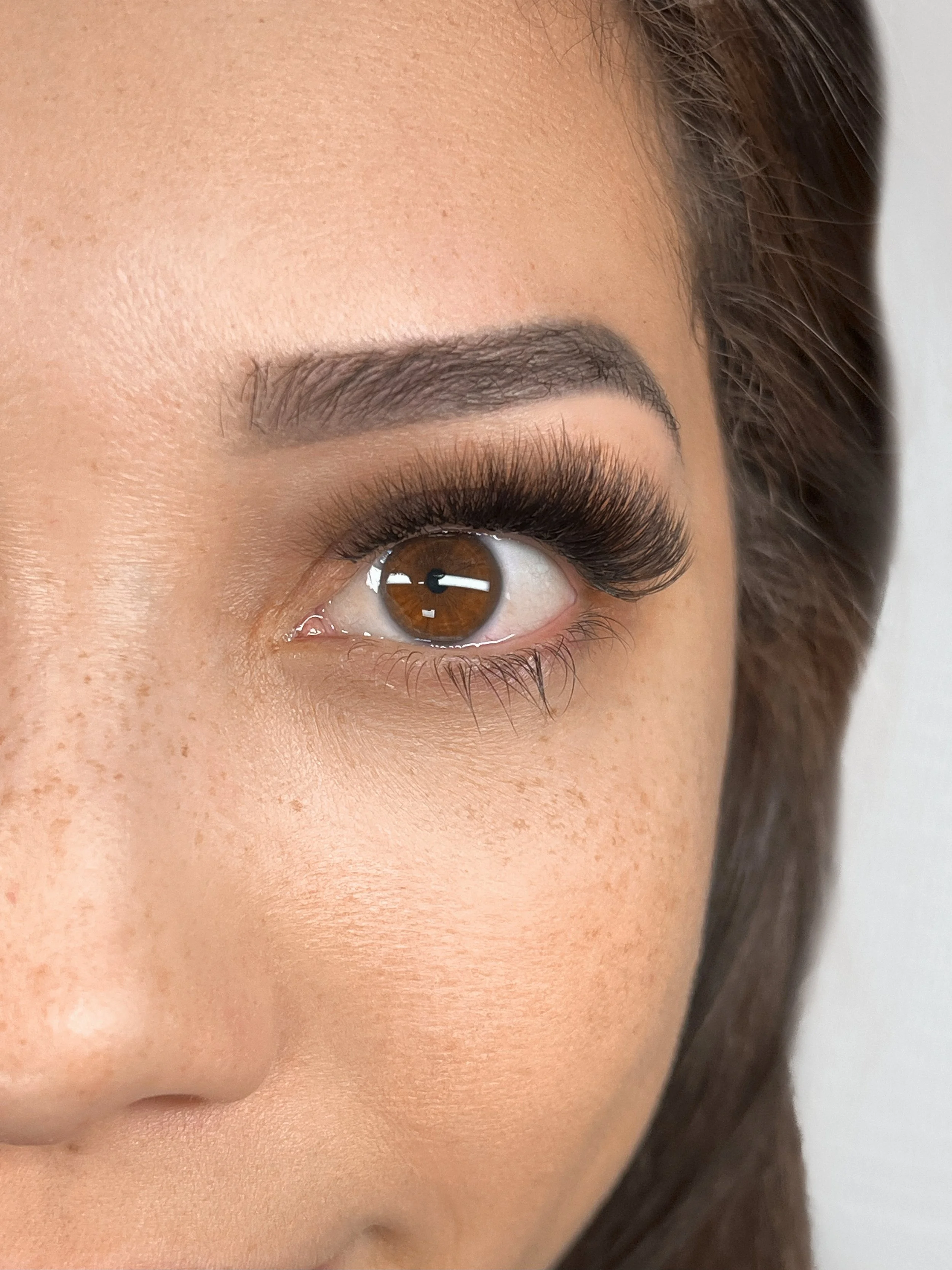 Brown Volume Full Set