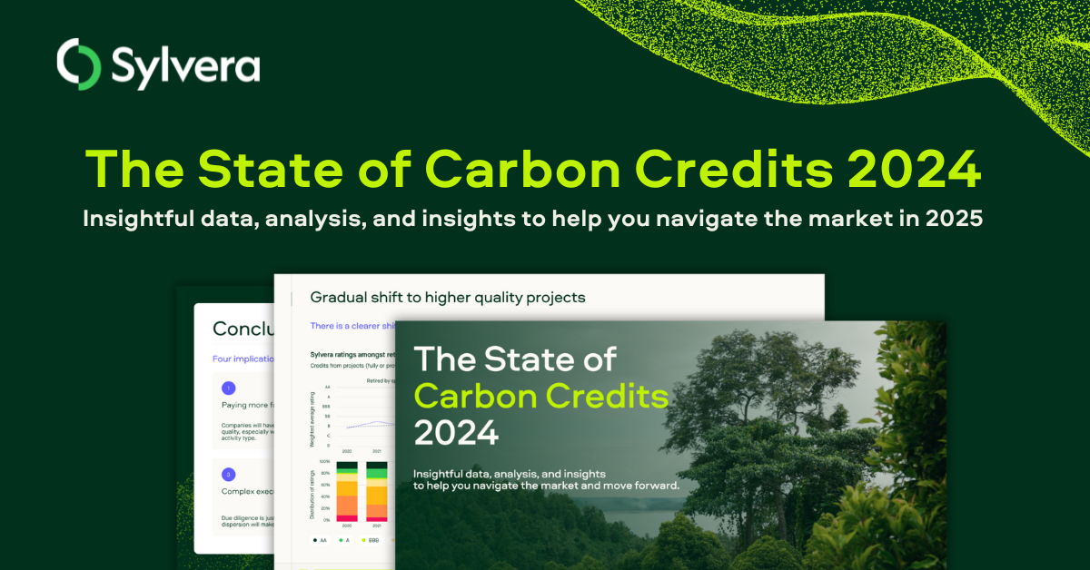 Carbon markets returned to growth in 2024 as part of ‘gradual but significant transition’, Sylvera finds