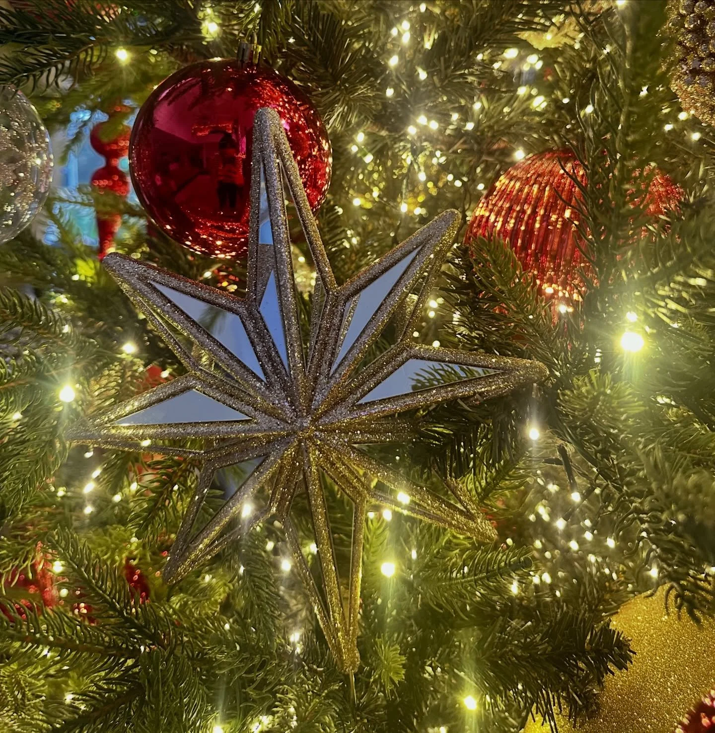 Just your daily dose of Christmas sparkle&hellip; you&rsquo;re welcome ✨🎄

𝒯𝒽𝑒 𝒯𝓇𝑒𝑒 𝒟𝓇𝑒𝓈𝓈𝑒𝓇

.
.
.
.
.
#thetreedressers
#christmastree 
#christmasdecor 
#christmasdecorations 
#christmastoys 
#christmasdecorating 
#christmas
#christmas