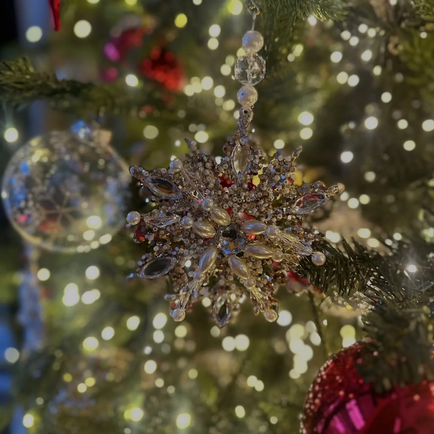 Happy New Year&rsquo;s from The Tree Dressers✨

The lights fade, the memories stay.

Thank you for an incredible season 🤍

𝒯𝒽𝑒 𝒯𝓇𝑒𝑒 𝒟𝓇𝑒𝓈𝓈𝑒𝓇

.
.
.
.
.
#thetreedressers
#christmastree 
#christmasdecor 
#happynewyear 
#nye