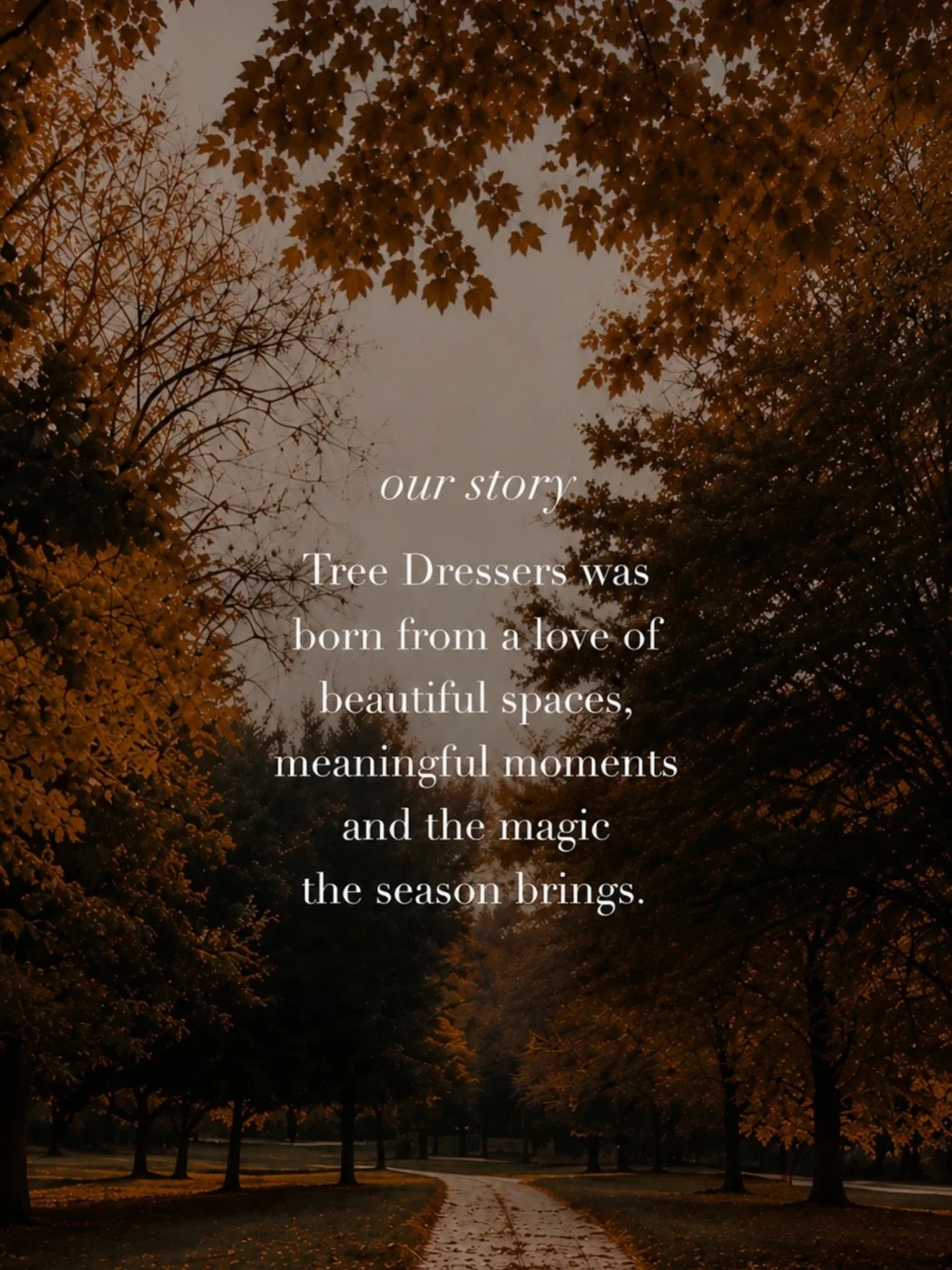 the feeling of christmas starts long before december ever arrives&hellip; ✨

This is the story behind The Tree Dressers, and the season already unfolding behind the scenes.

Swipe through and step into the feeling with us.

𝒯𝒽𝑒 𝒯𝓇𝑒𝑒 𝒟𝓇𝑒𝓈𝓈