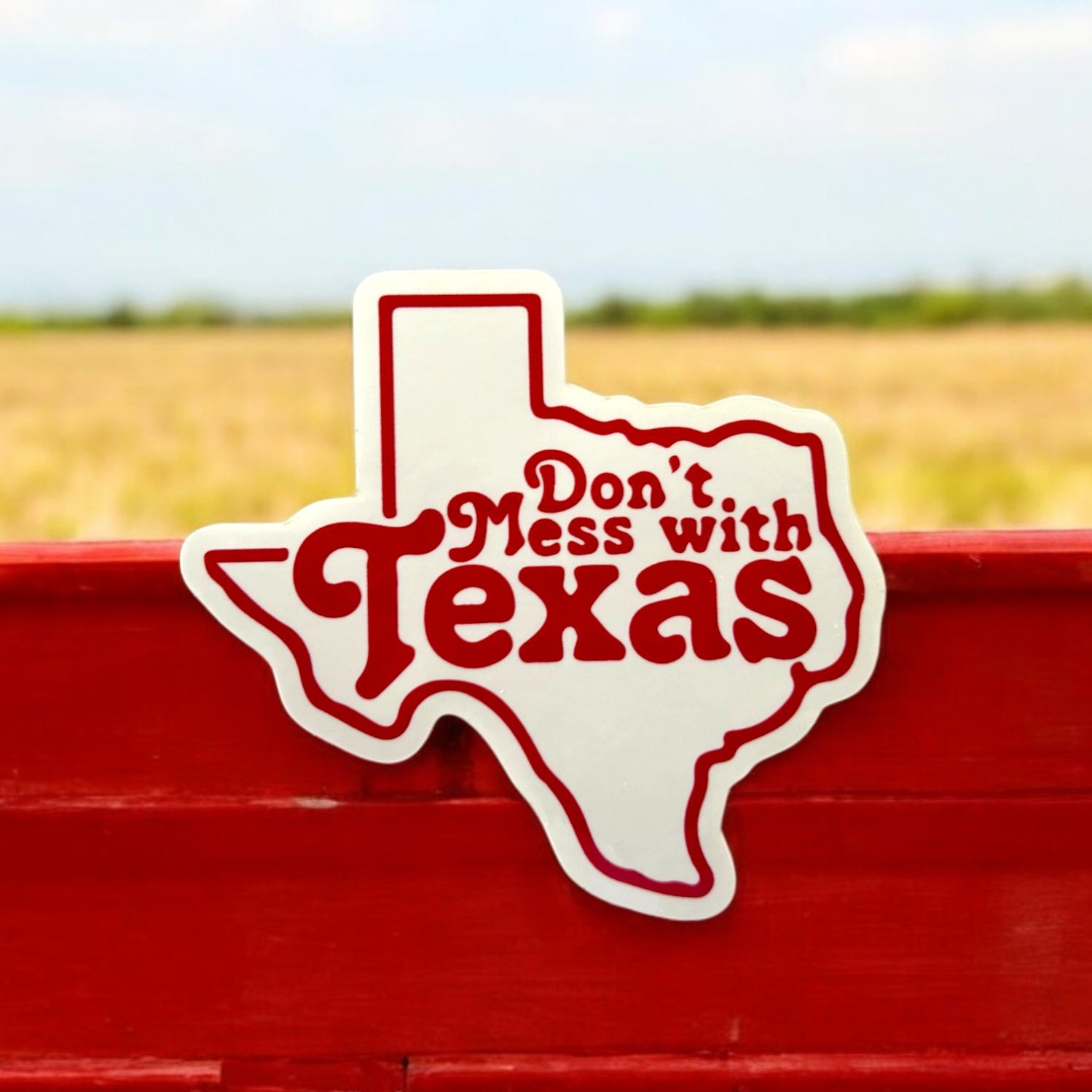 Don%27t+Mess+With+Texas.jpg