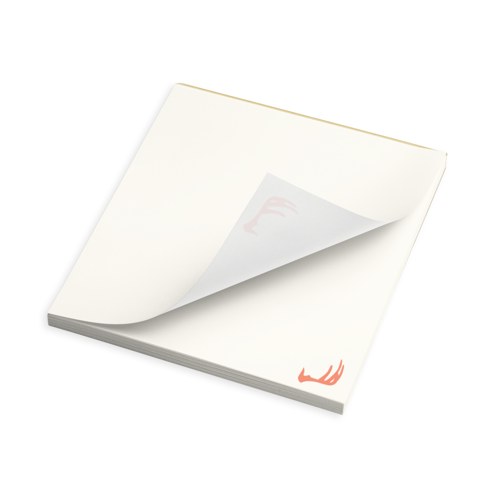 notepad-white-5.5x6-tine2-6989f594ef305.png