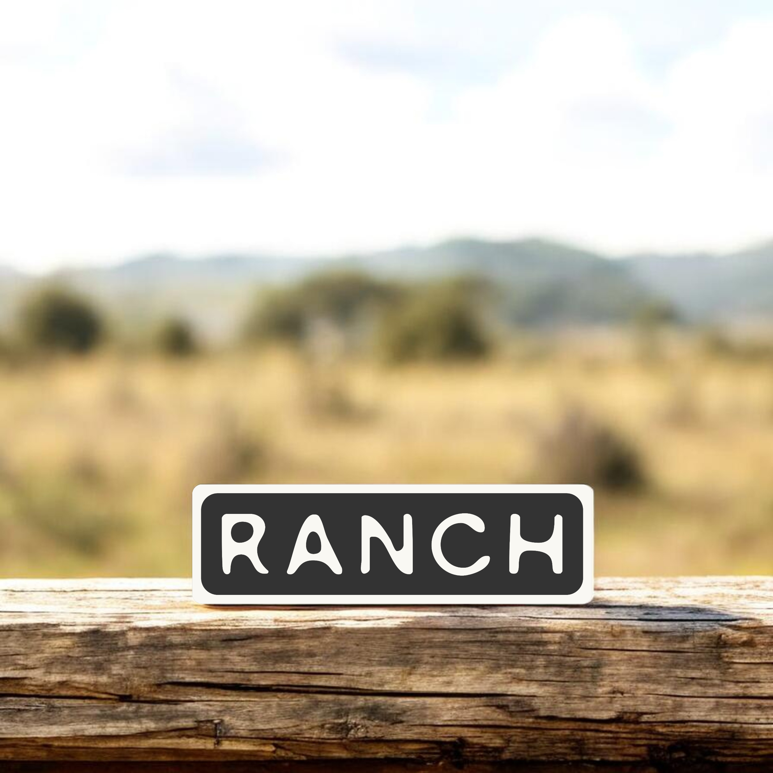 Ranch Sticker - Iron.png