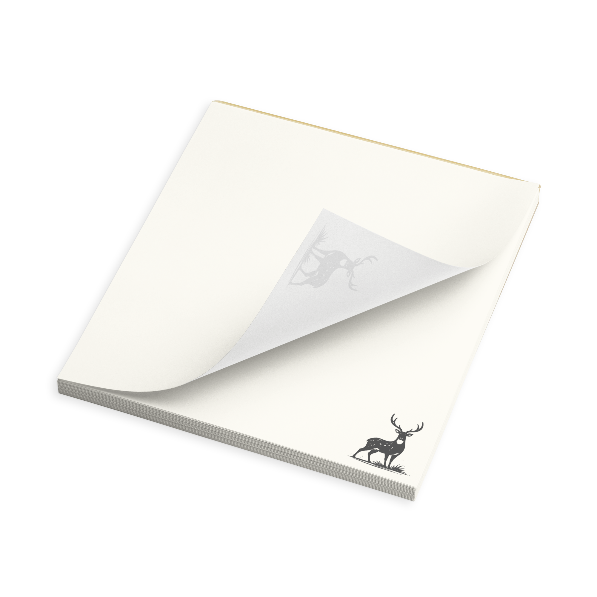 Field Notepad 5.5x6 product image.png