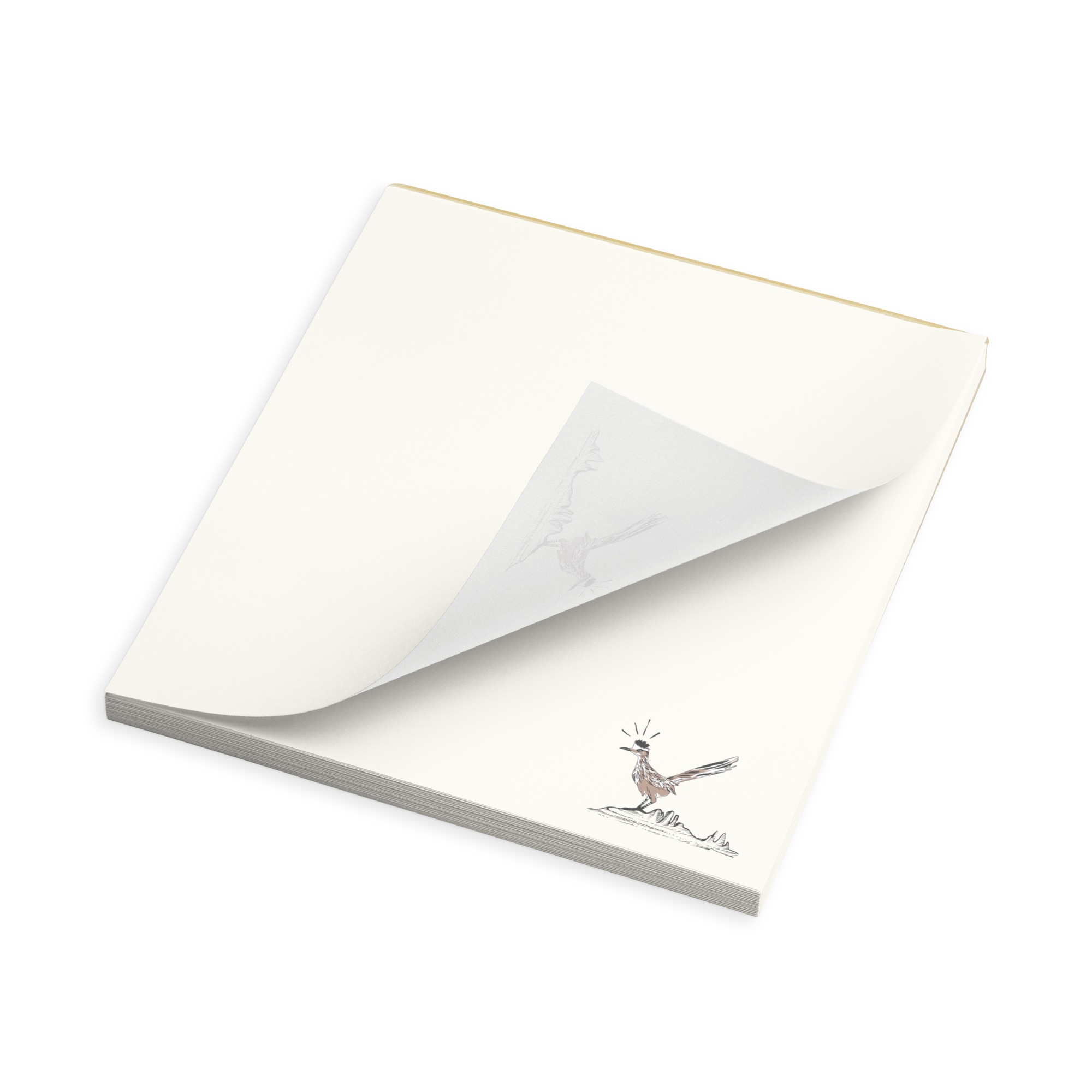 Desert Runner Field Notepad 5.5x6 product image.png