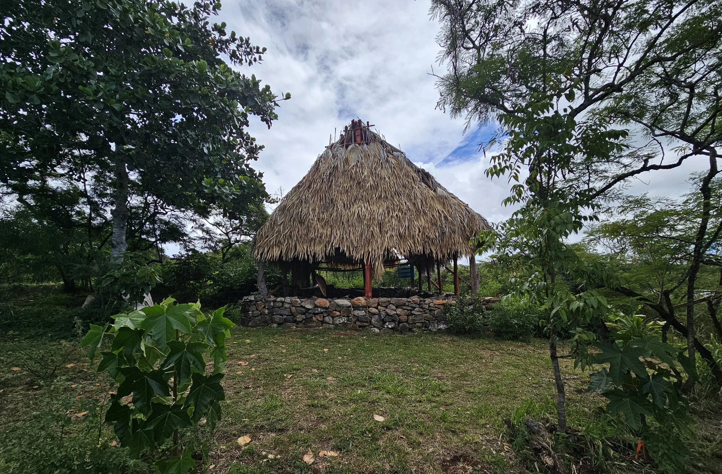 Keawemalia - our laau lapaau classroom