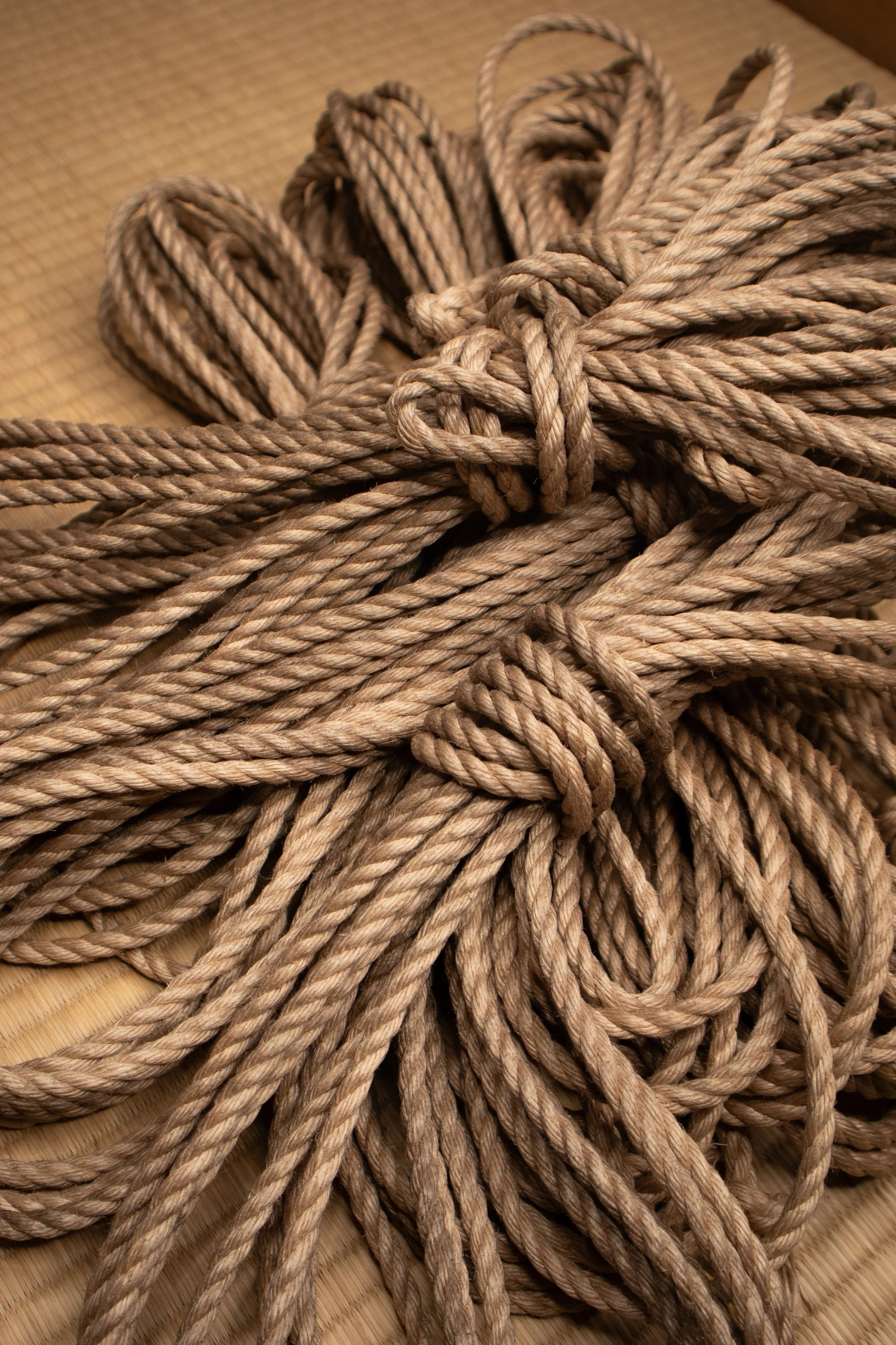Conditioned Rope Bundle