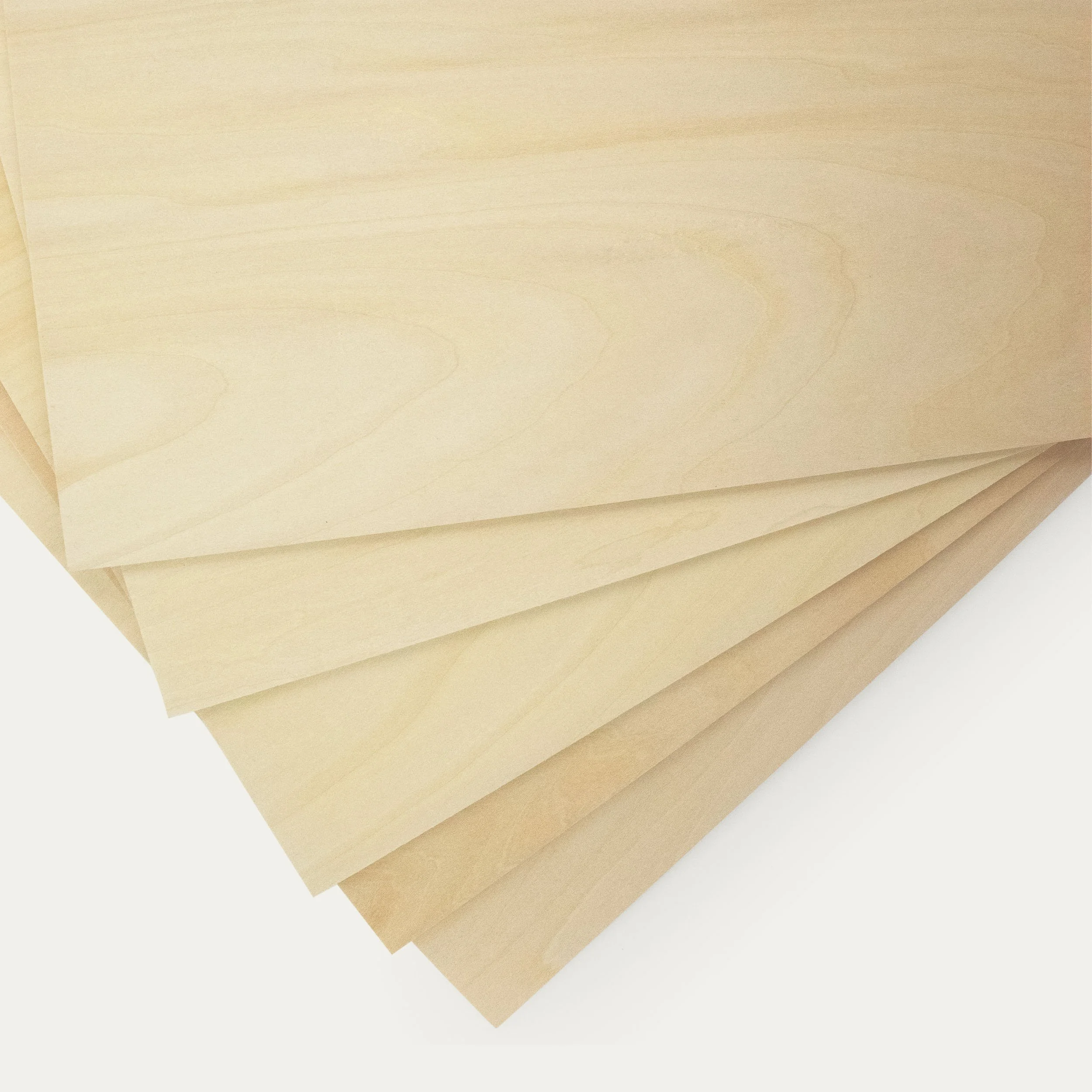 Shina Plywood-4.jpg