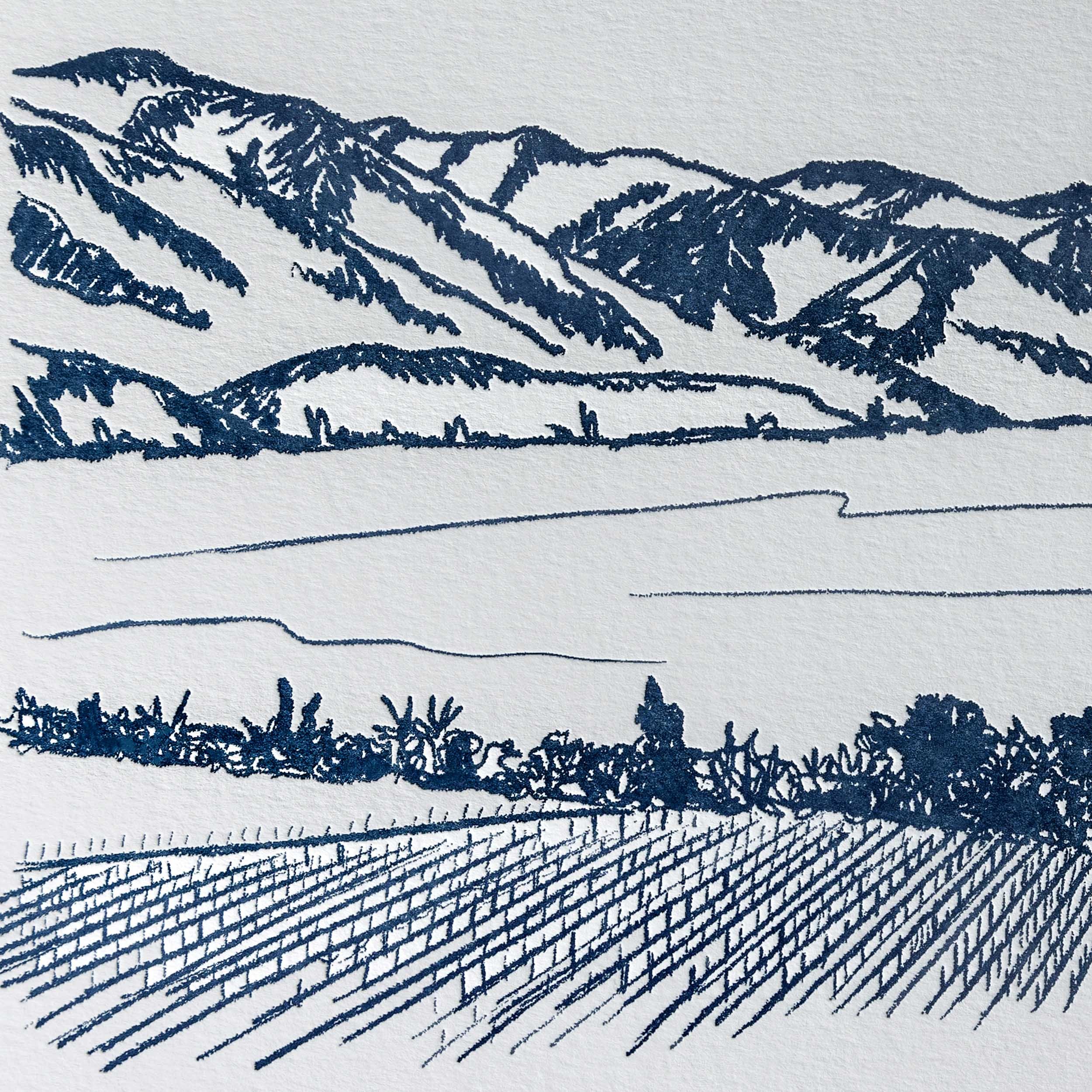 Detail of a limited edition letterpress artwork featuring a hand-drawn illustration of the Rippon vineyard landscape in Wānaka.