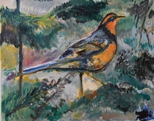 Varied Thrush 16X20