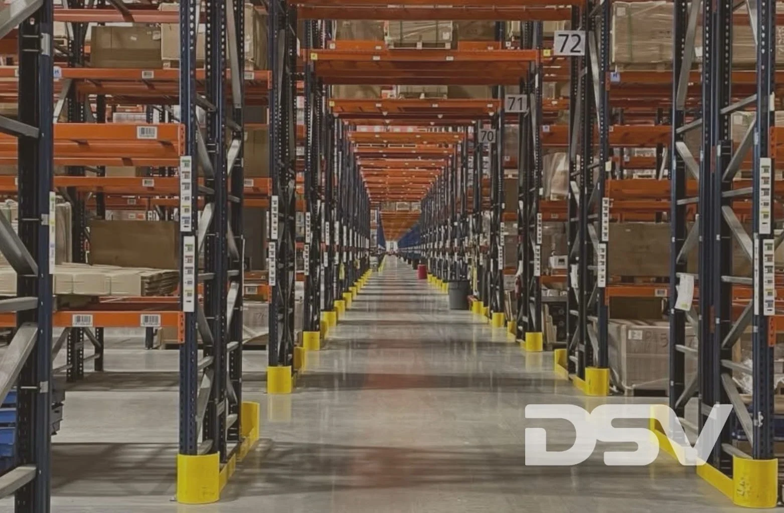 dsv-case-5.jpg