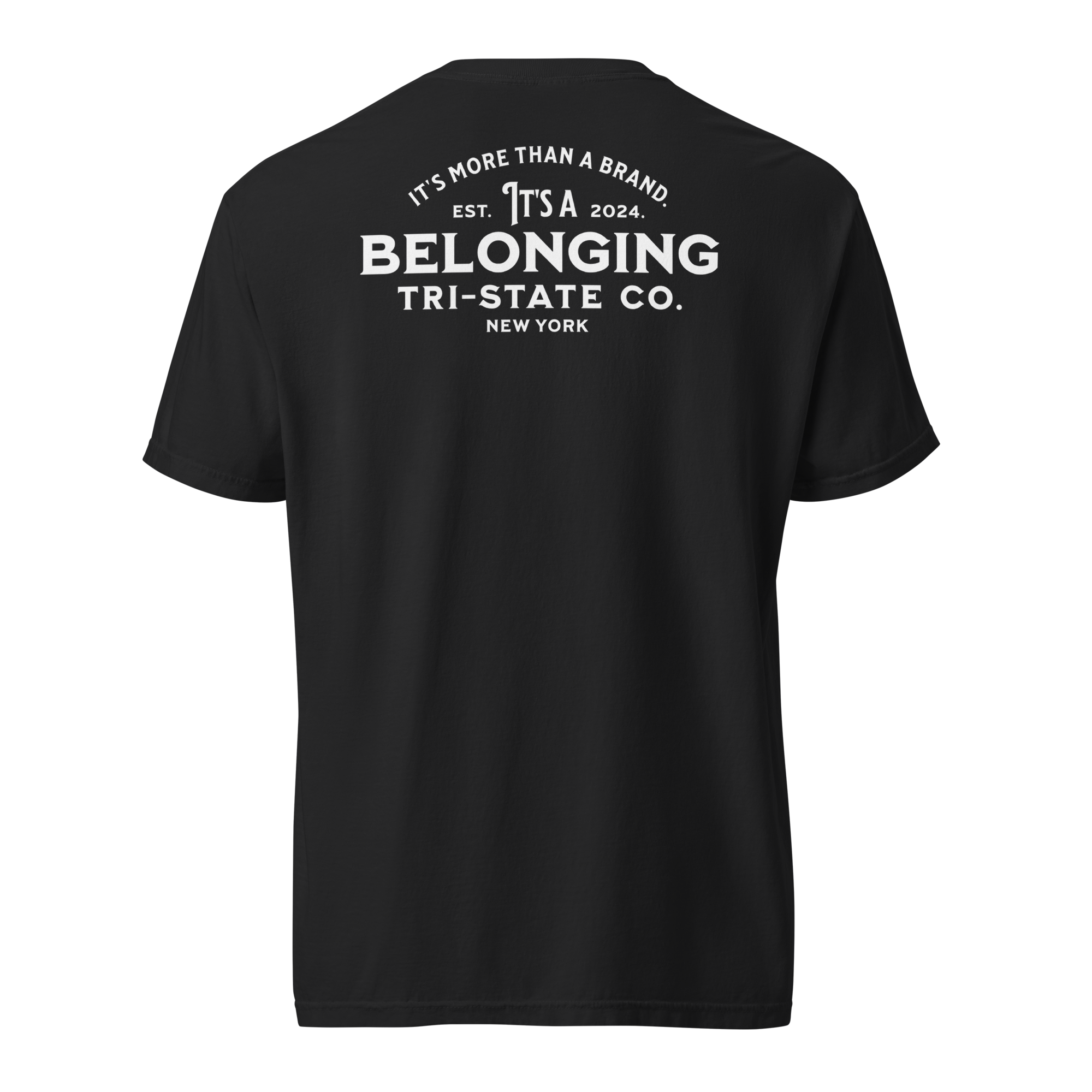 unisex-garment-dyed-heavyweight-t-shirt-black-back-69ba2eff47ca9.png