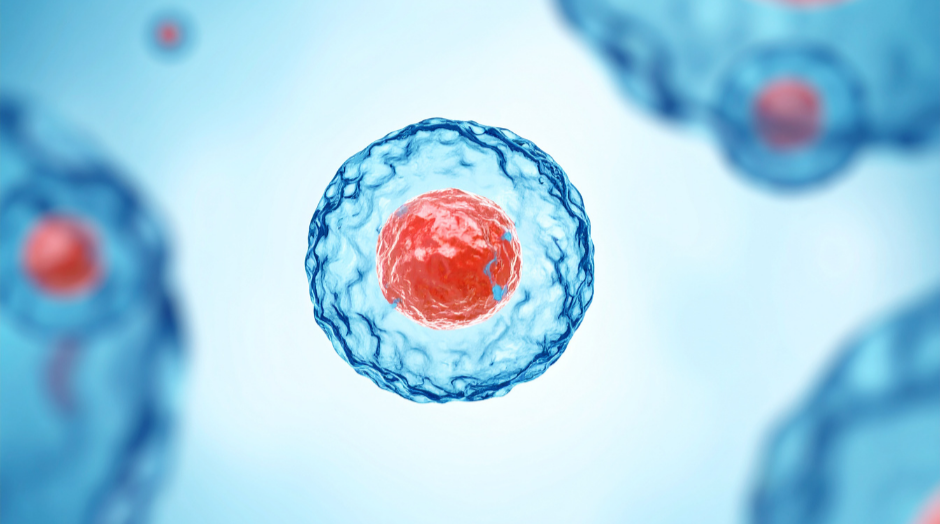 &nbsp;Cells or No Cells…Understanding Acellular and Cellular Therapies for Wound Healing