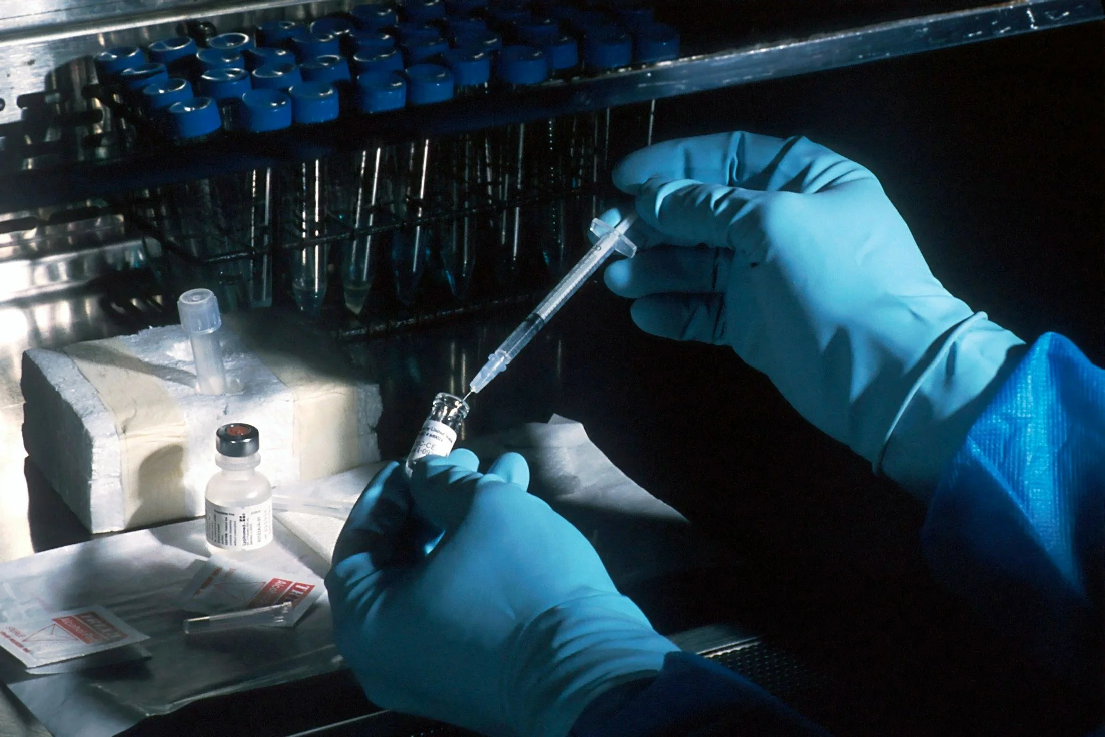 Why “Whose Cells” Matters in Regenerative Medicine