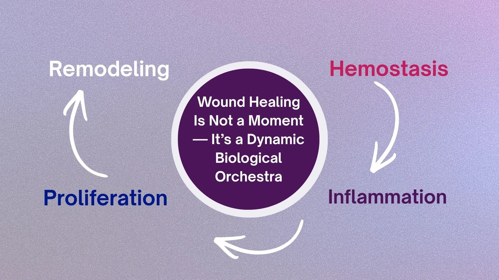Wound Healing Is Not a Moment — It’s a Dynamic Biological Orchestra