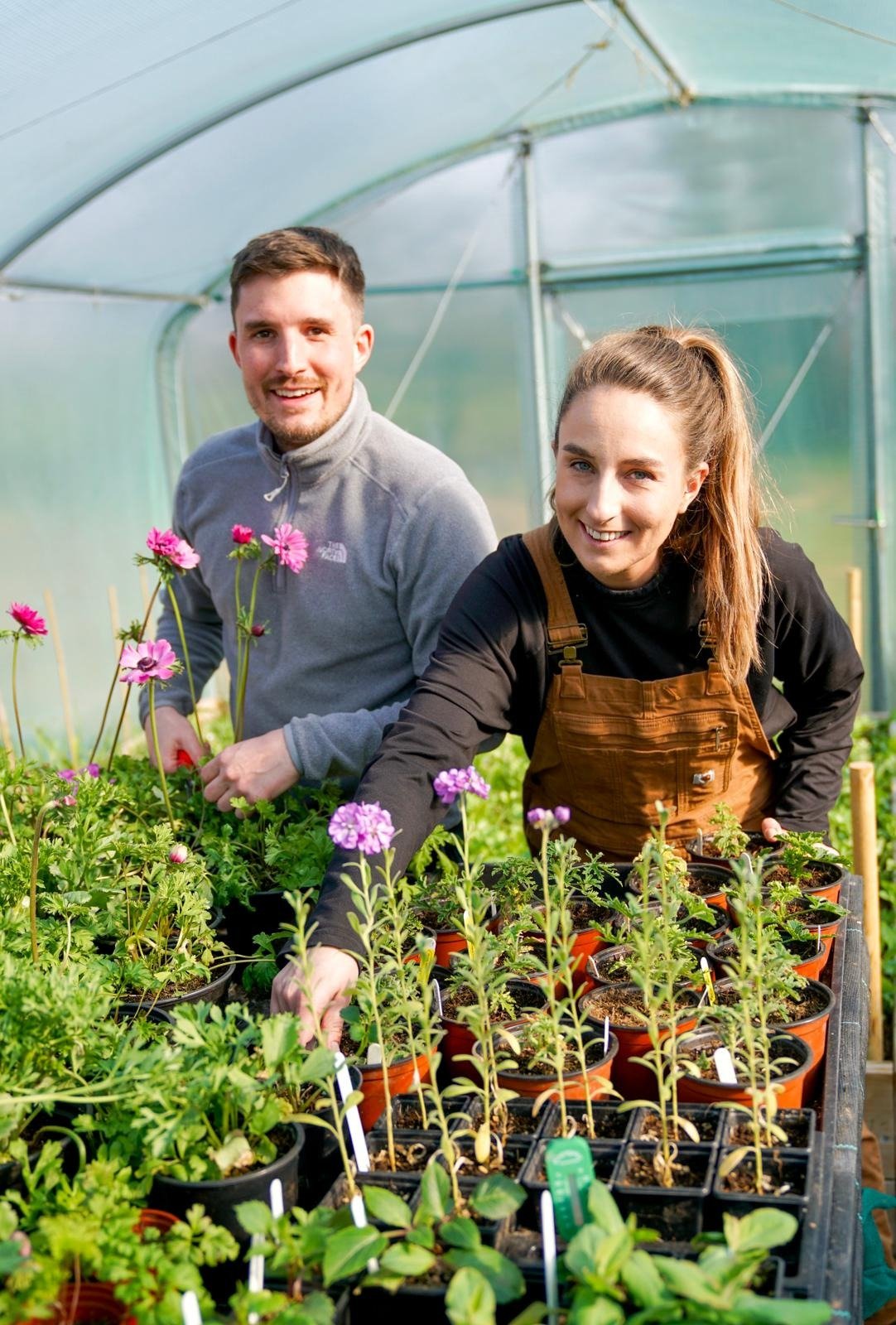 Moorfield Farm Flowers