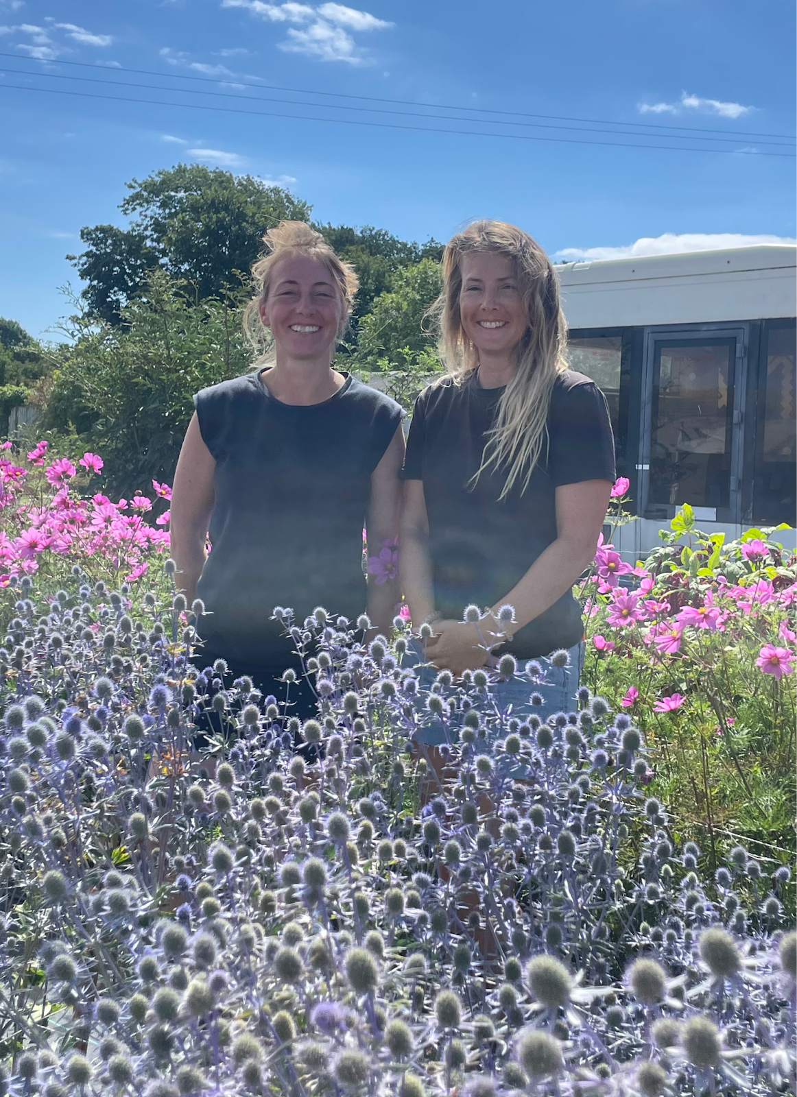 Friar Waddon Flowers