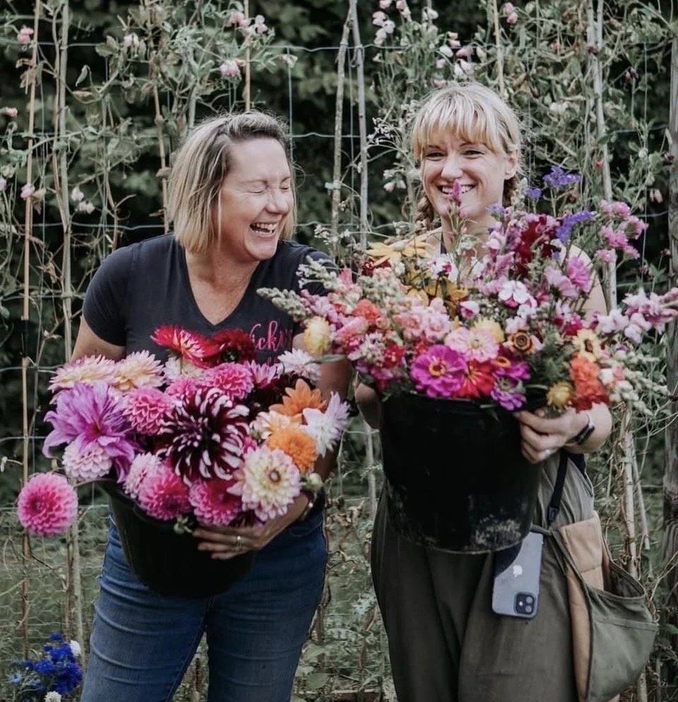 Ivy Primrose Flowers