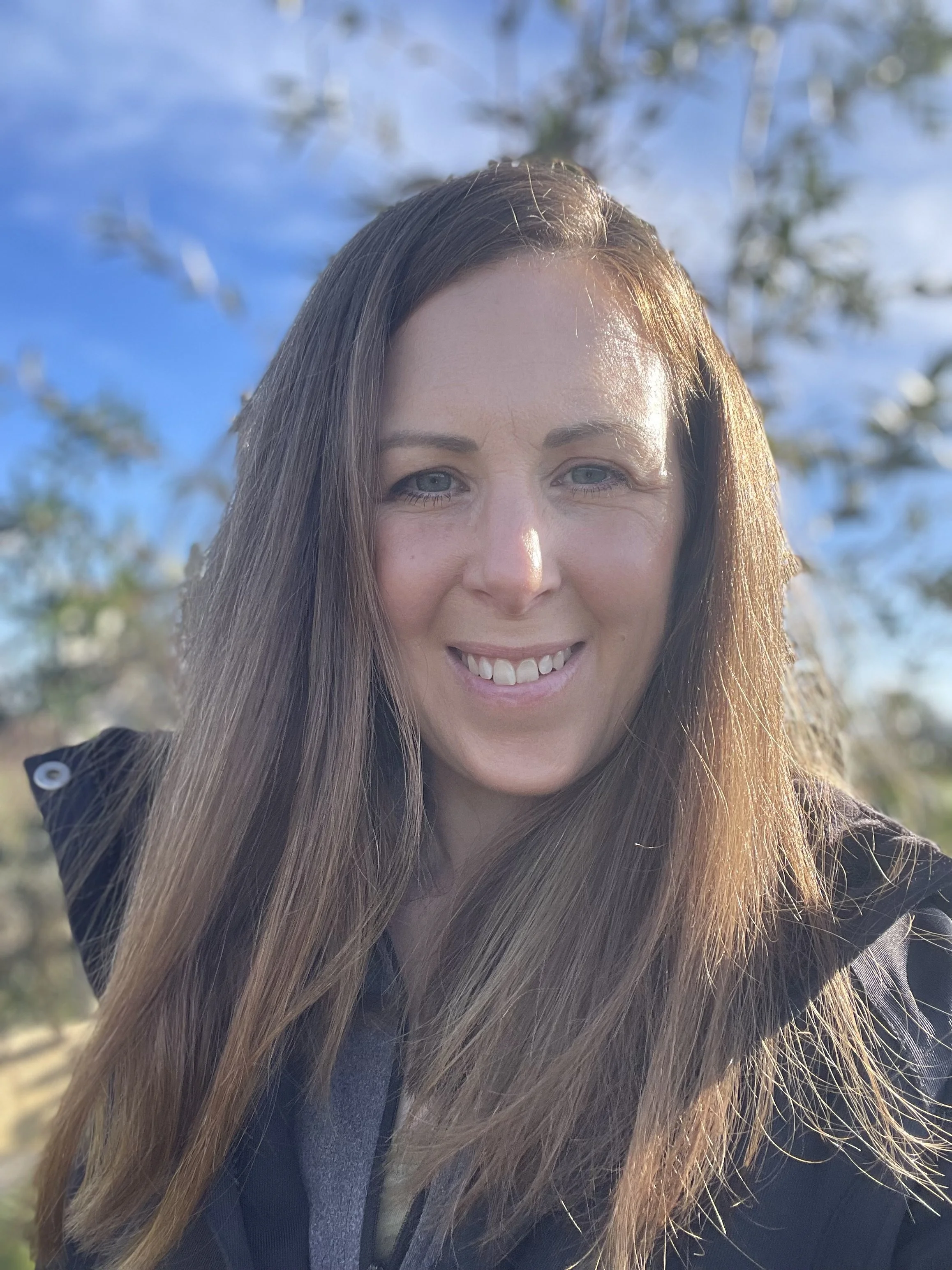 Wild Rose And Bramble