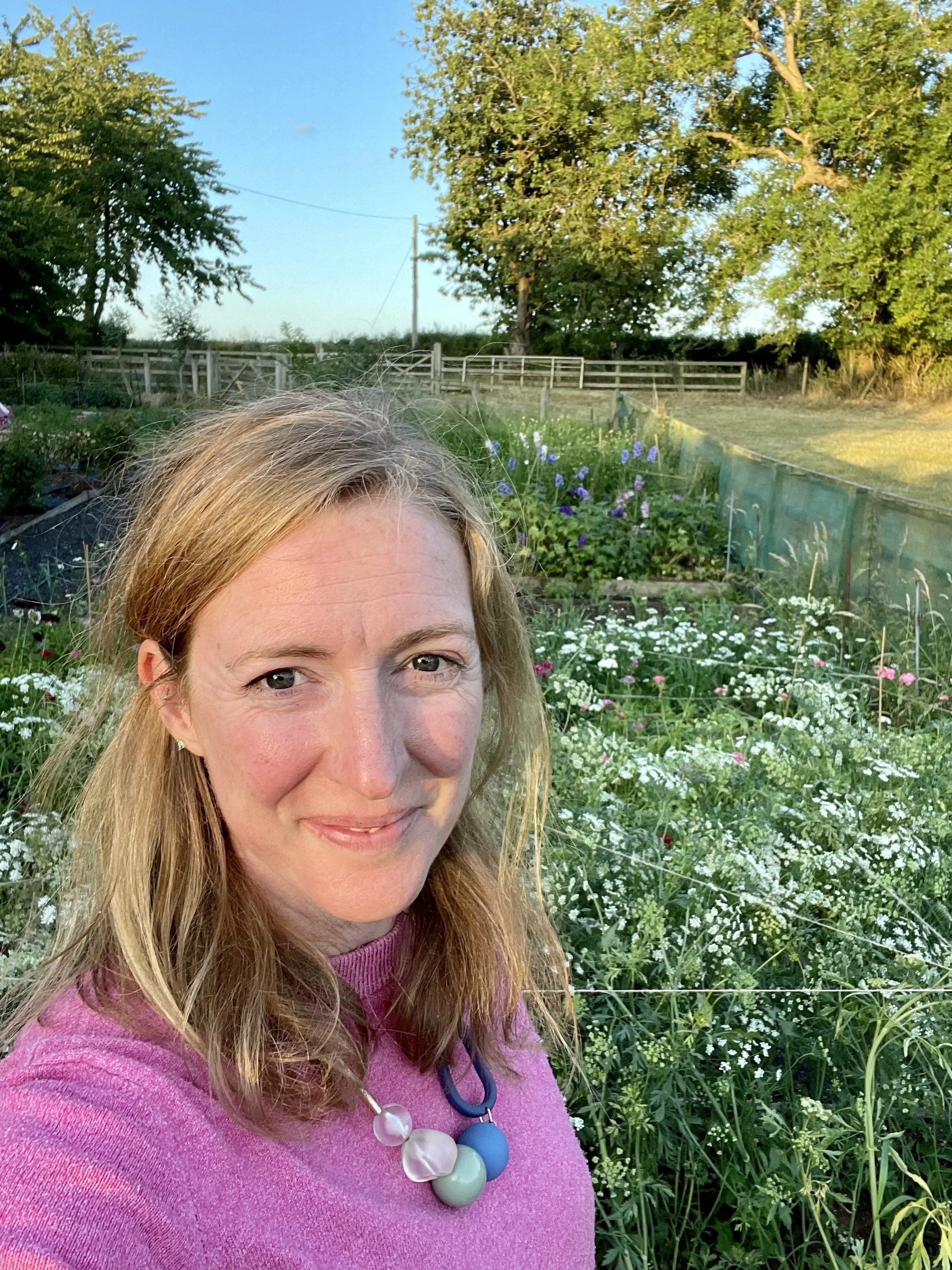 Wild Bee Flower Farm