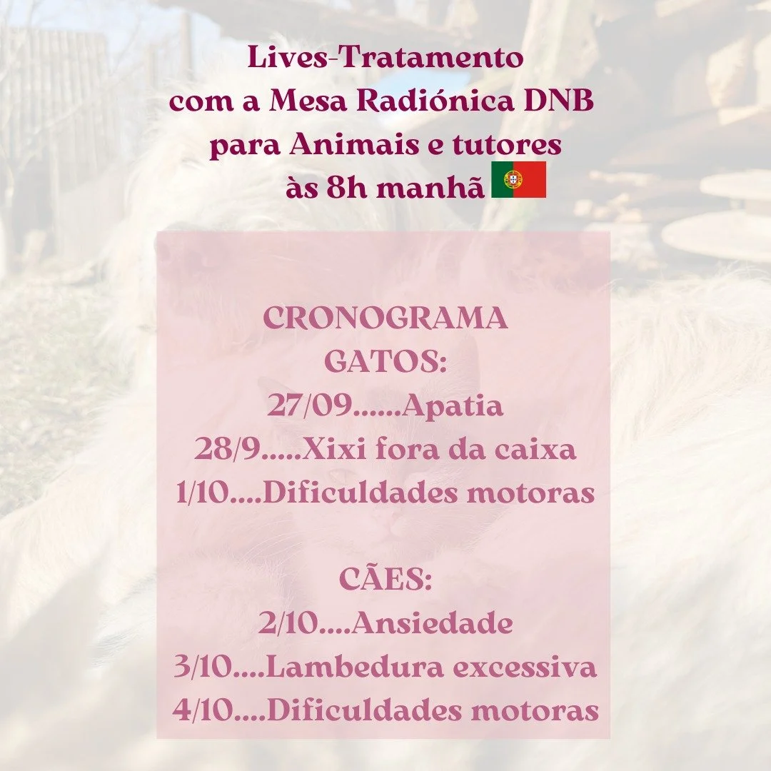 Pessoas lindas e animais maravilhosos!
&Eacute; um prazer imenso e uma honra partllhar com voc&ecirc;s uma das terapias com a qual trabalho e que tem tido &oacute;timos resultados com os meus clientes de 4 e 2 patas e com os seus amados tutores❤️

Va